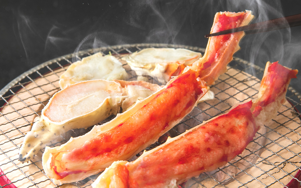 バラ売り不可 ハイランカーパス 7枚 ライフカウンター 1枚 まとめ売り