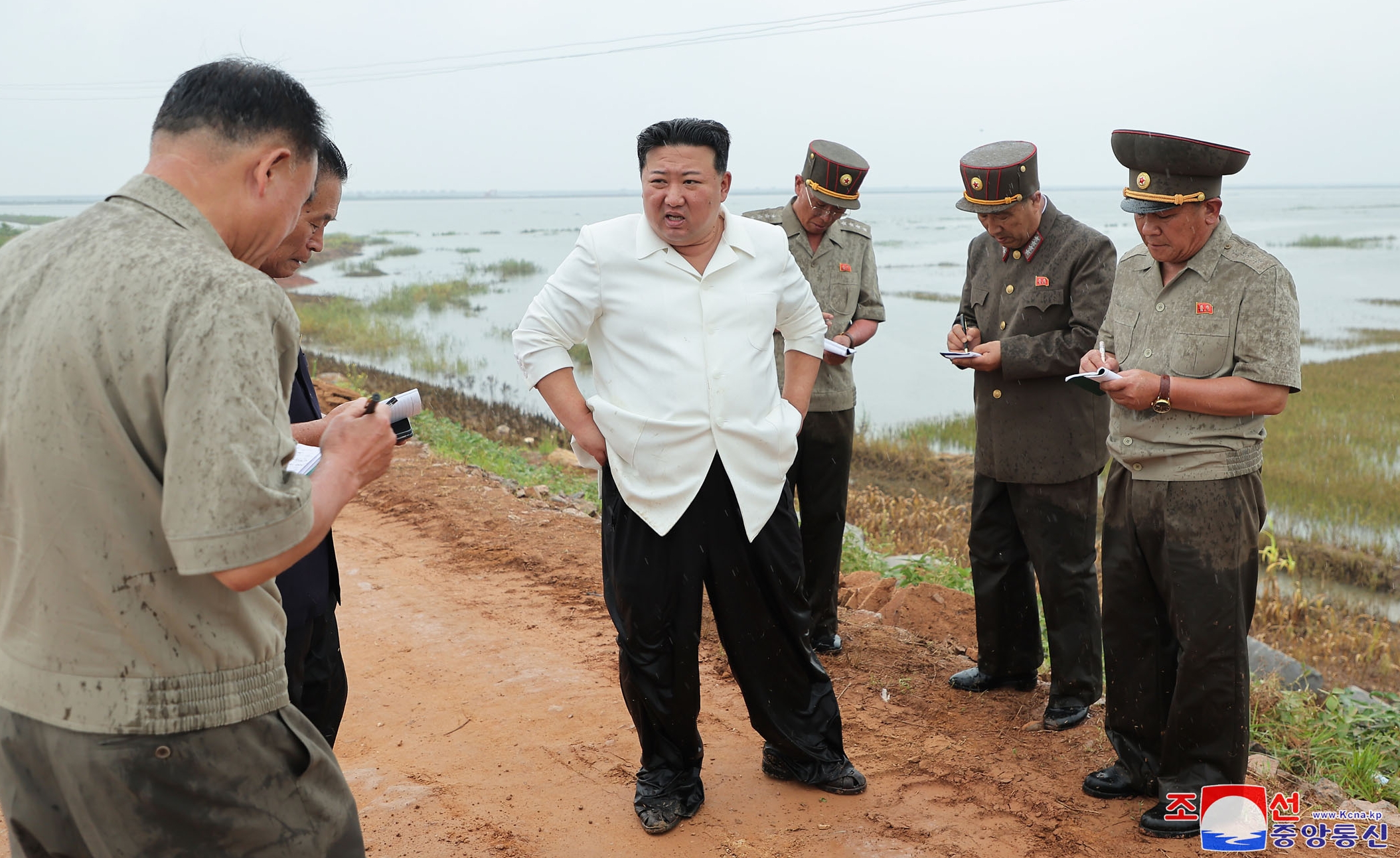 北朝鮮バッジ組犬決ワイプアウトの危機 コレクション