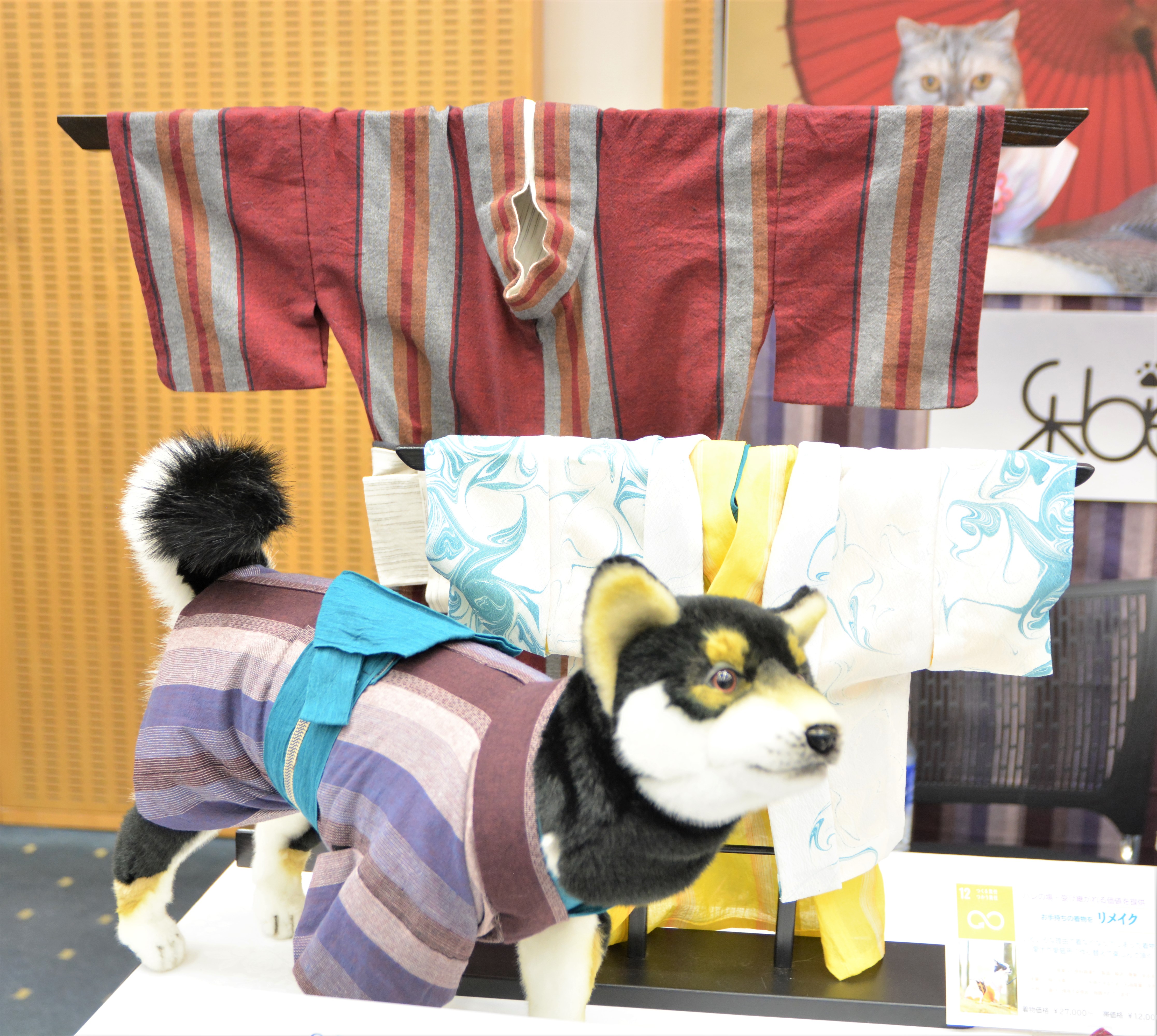 特産織物で犬猫用着物 日本初のオーダーメード店 新潟市にオープン（1