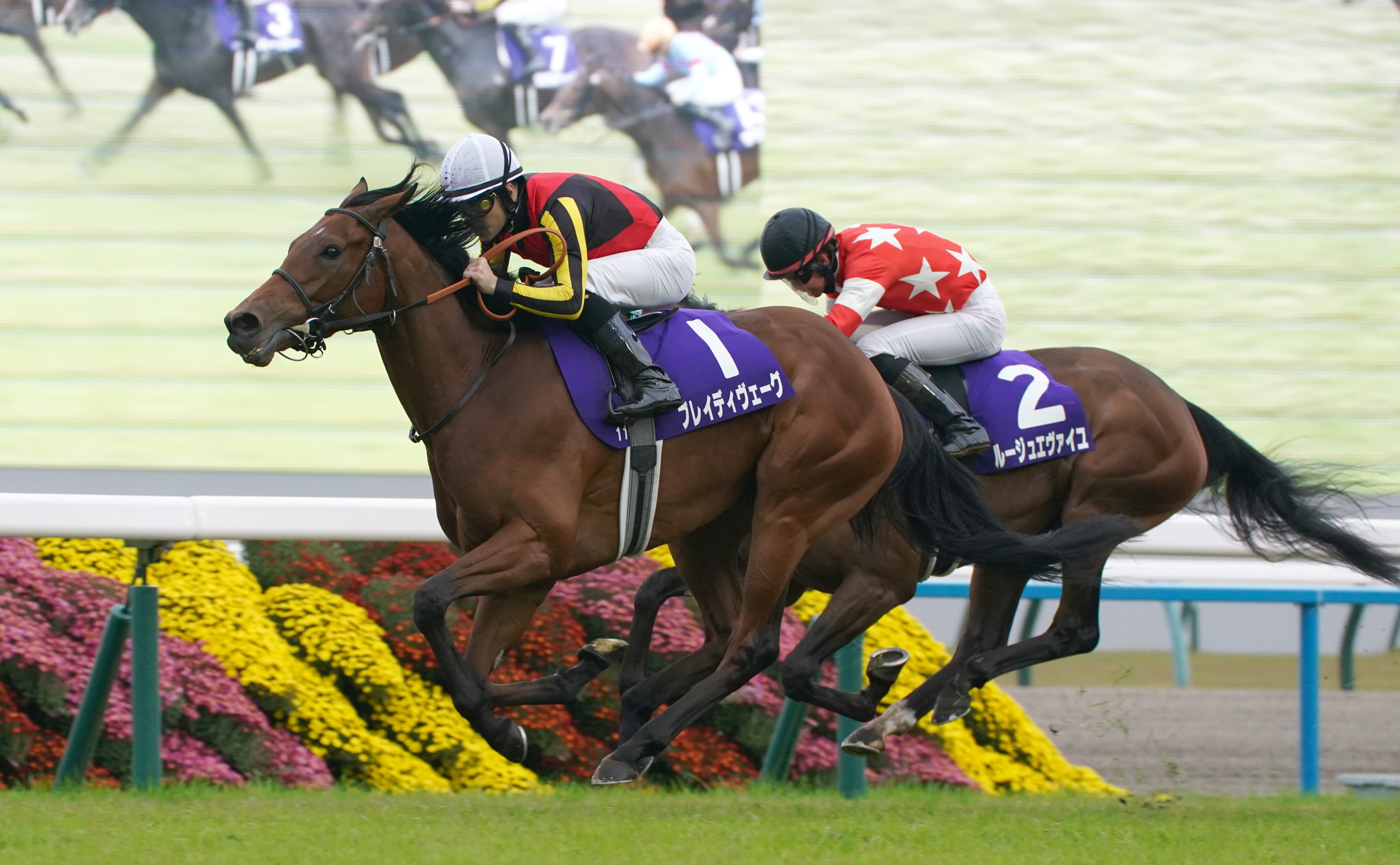 桜至郎の競馬こばなし 縦〝桜〟無尽】土岐拓也助手が語るブレイディ
