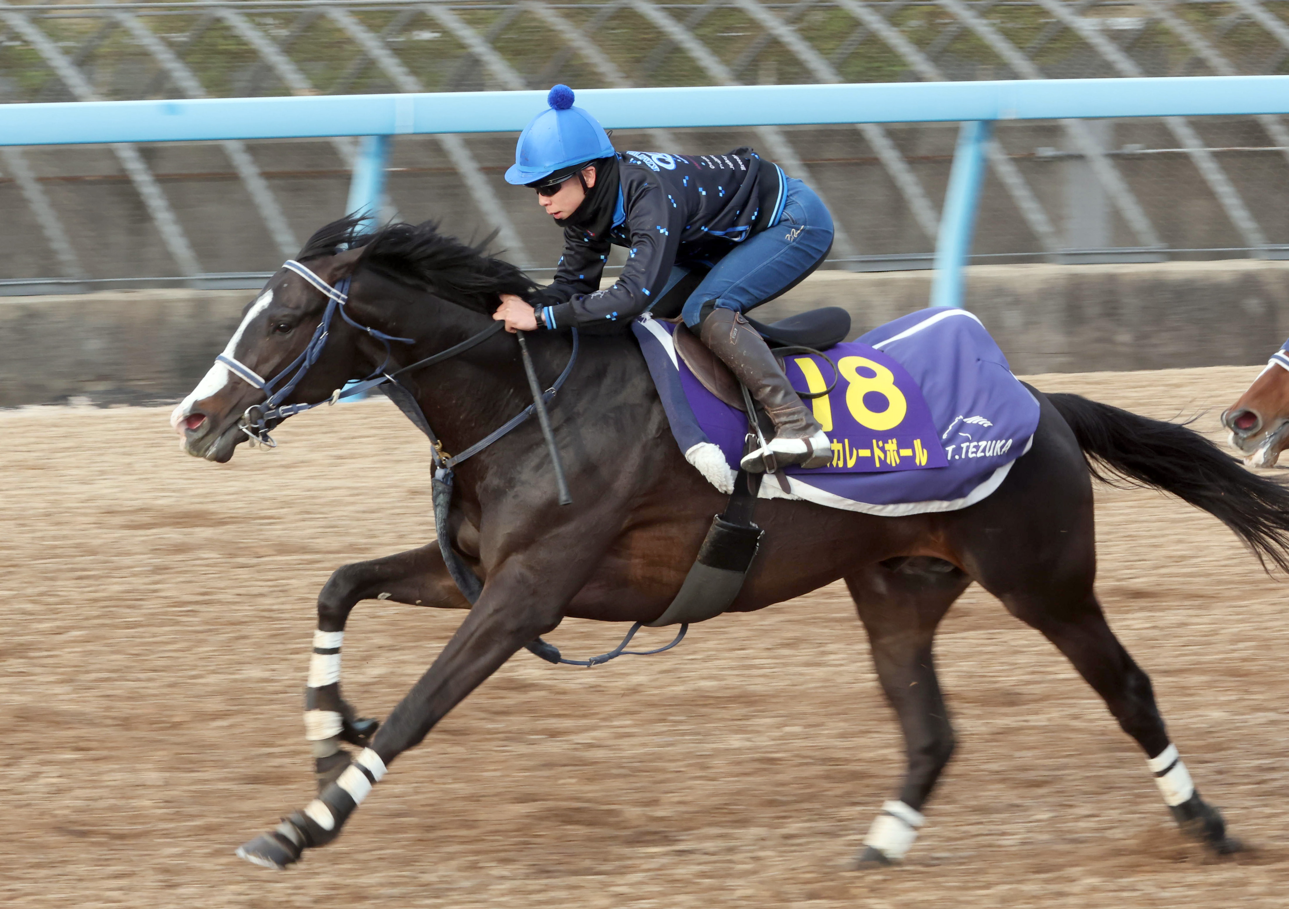 皐月賞 1週前追い切り】マスカレードボール気負いなし！ 馬なりのまま