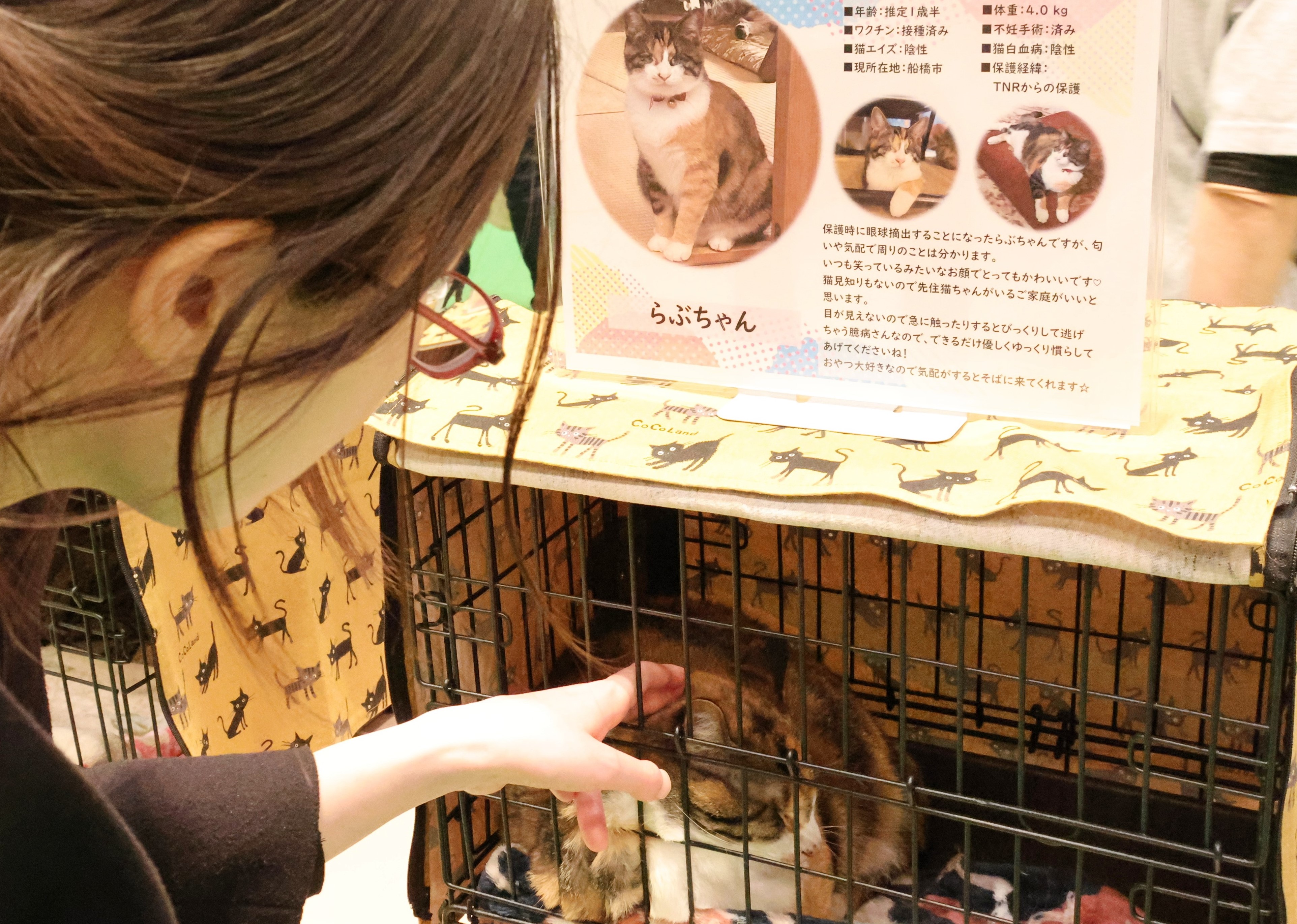 保護犬・猫を救え パナソニックや島忠が譲渡会、社会課題解決と販売増 