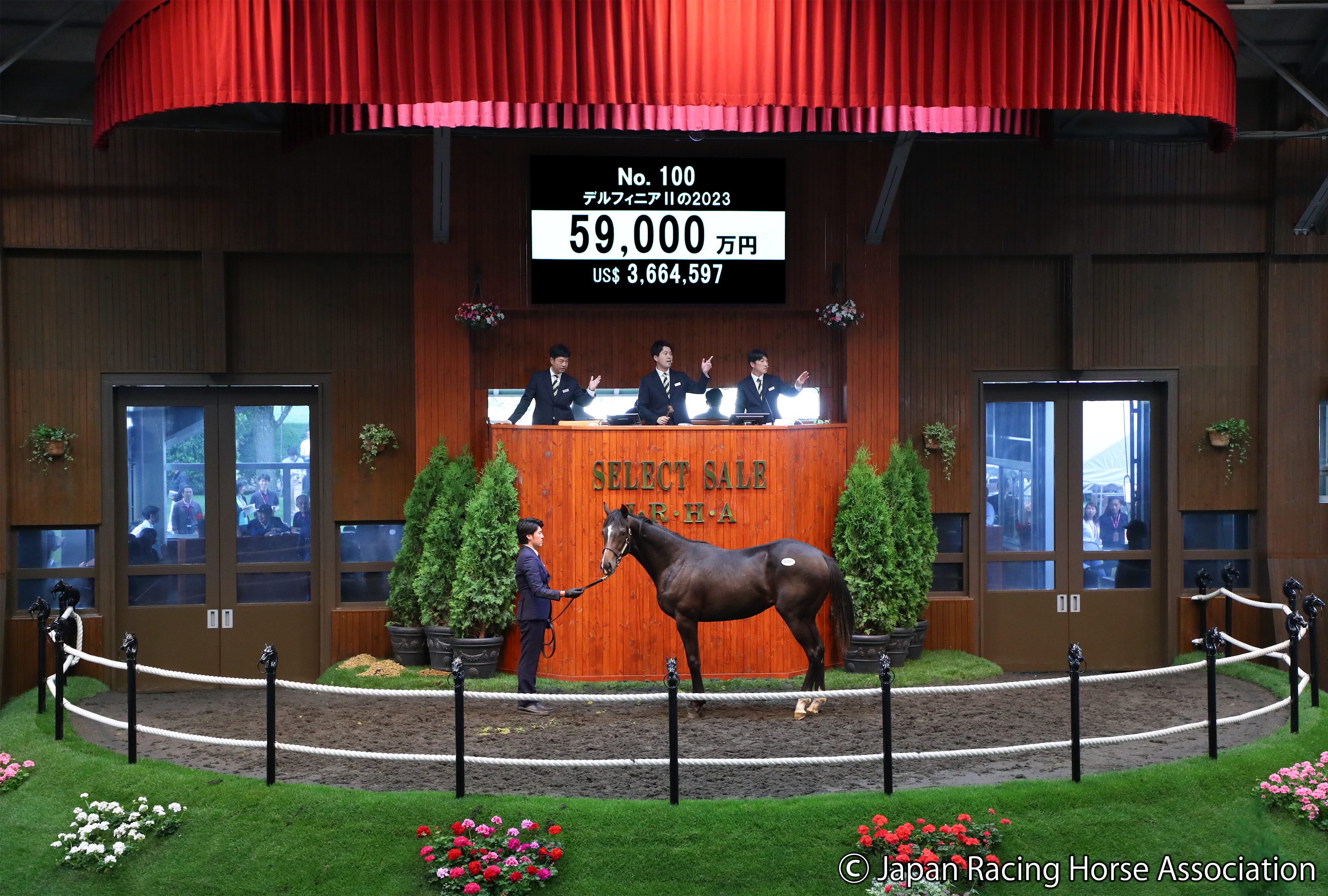 セレクトセール2024】キタサンブラック産駒デルフィニアⅡの