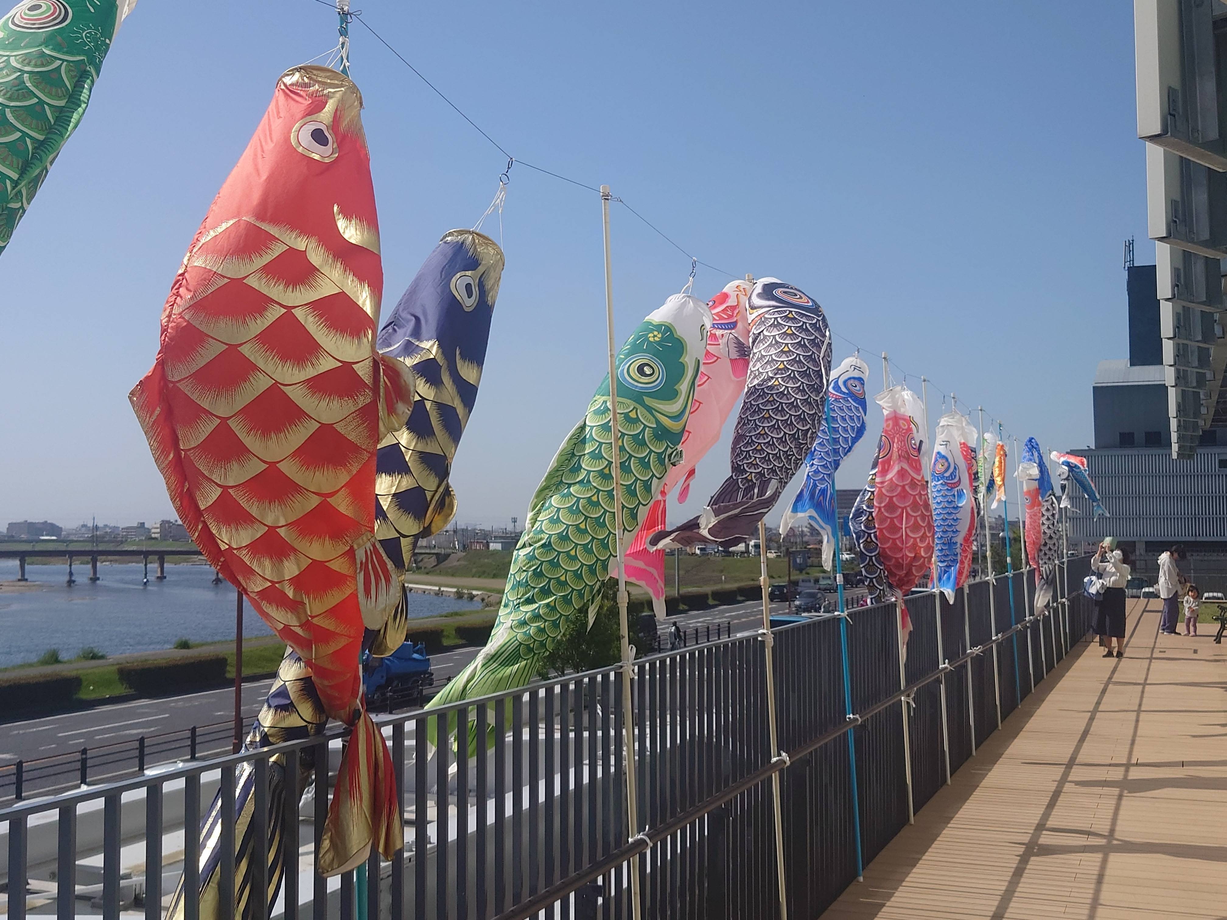 端午の節句(鯉のぼり) 節句人形&鯉のぼり