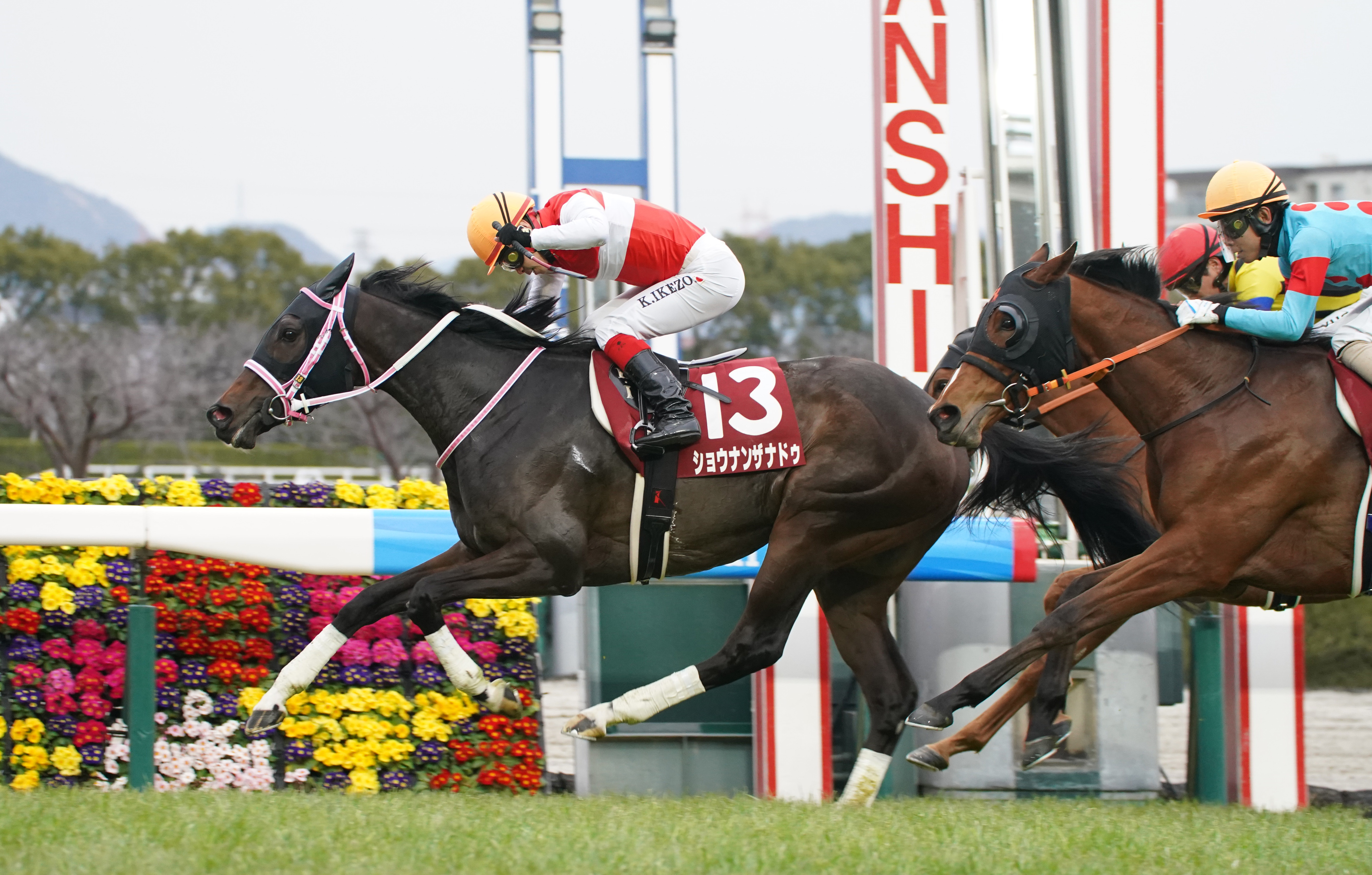 JRA　競馬　馬写真（額入り）　満花 第81回 桜花賞｜G1特集｜競馬予想・競馬情報ならJRA-VAN
