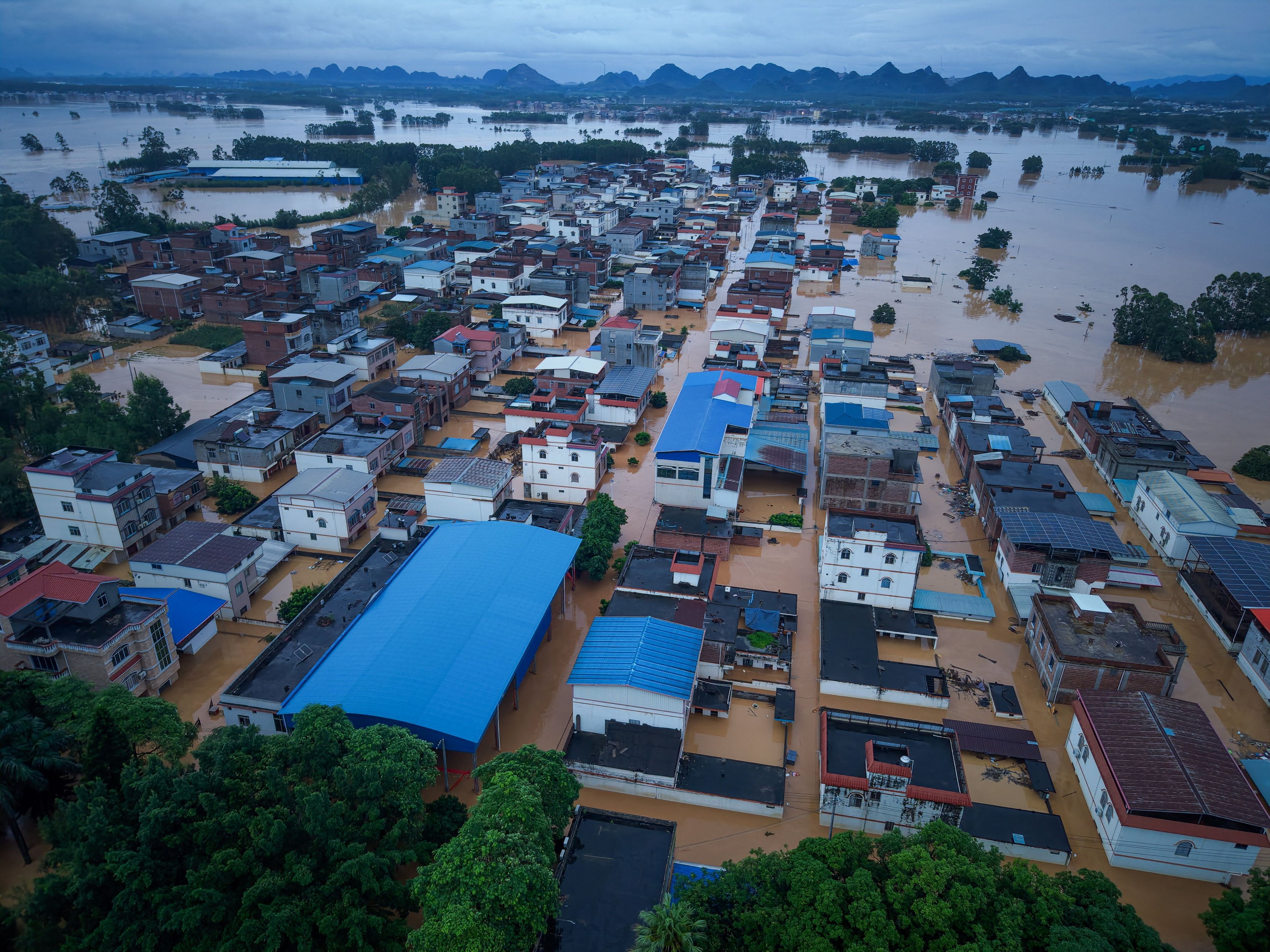 洪水で養殖場が壊れて毒蛇コブラなど900匹逃げ出す 中国南部、かまれた