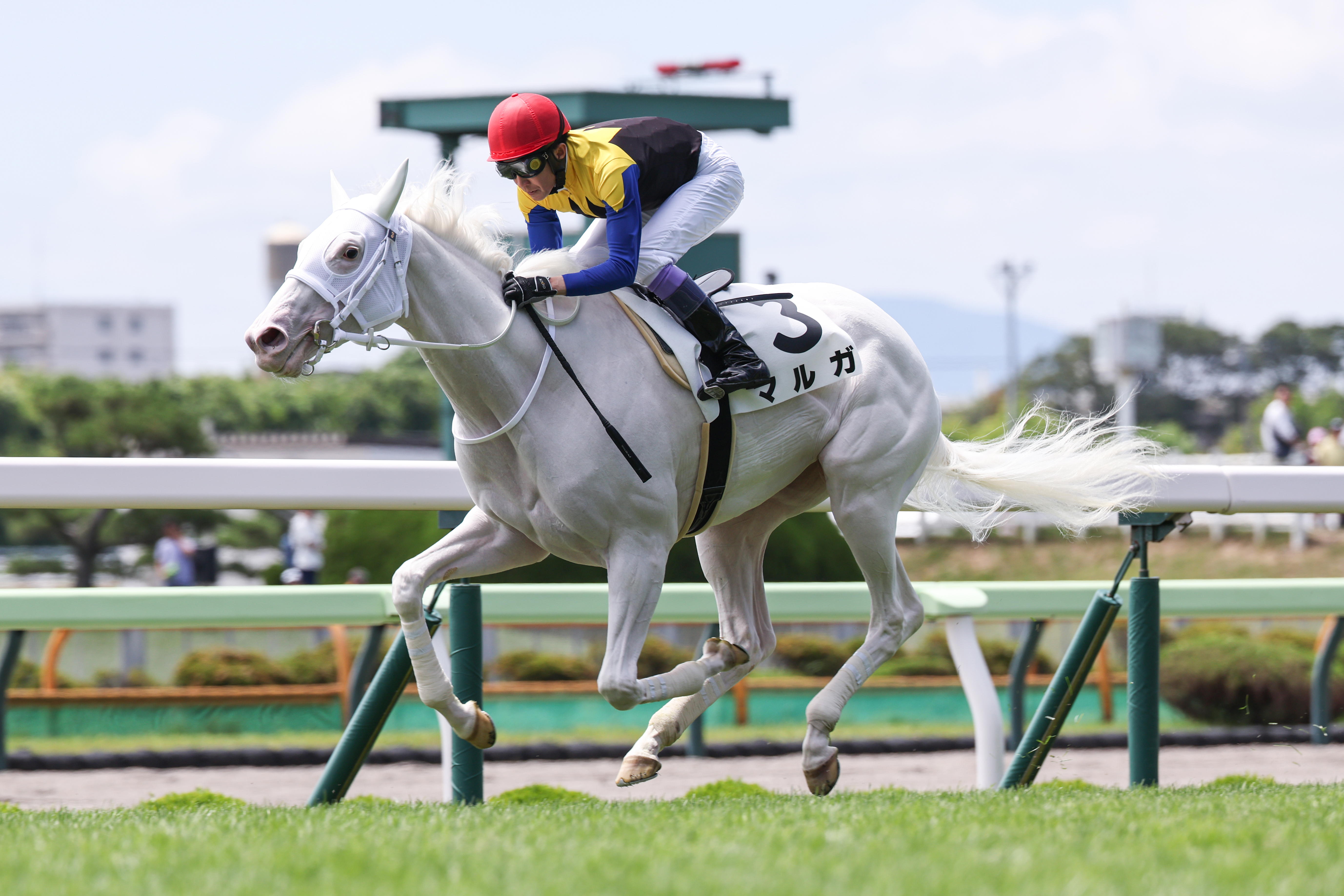 マルタ騎士騎馬像　新品　未開封 マルタ騎士騎馬像 新品 未開封