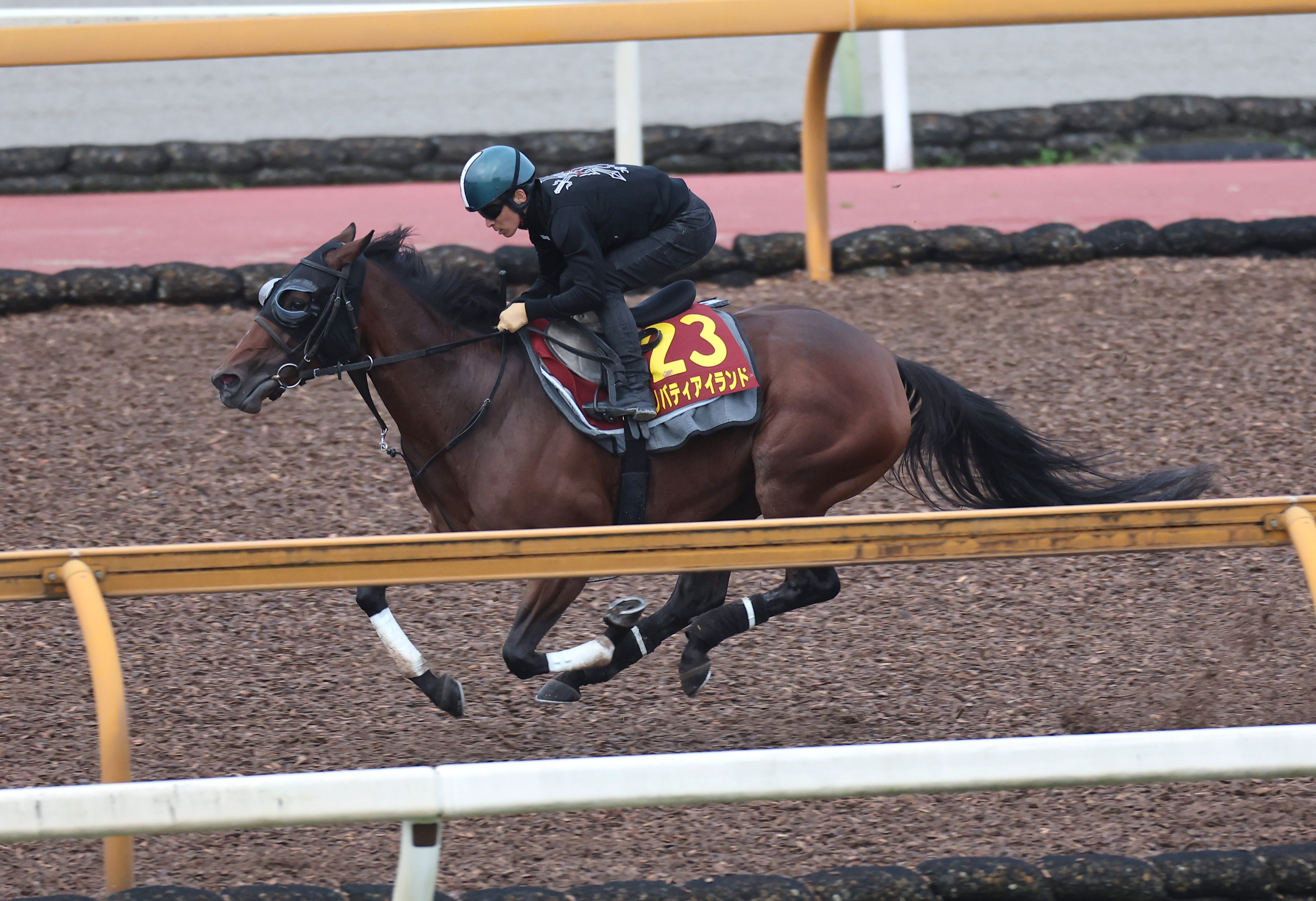 【秋華賞】リバティアイランド牝馬３冠へ圧倒的ポテンシャル ...