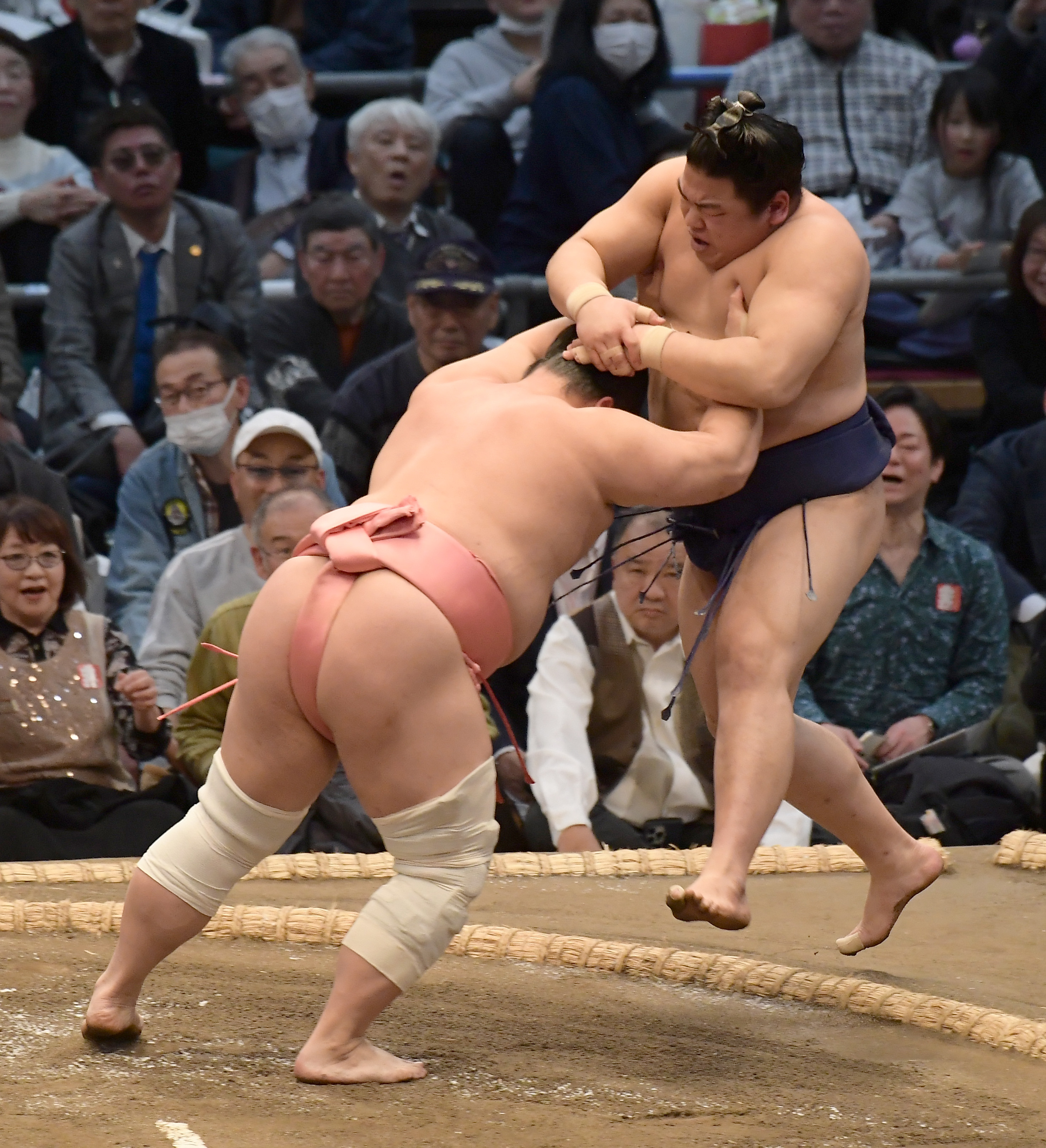 新・相撲のススメ & 相撲もの知り博士 新・相撲のススメ & 相撲もの知り博士 71HZFFXqevL._UF350