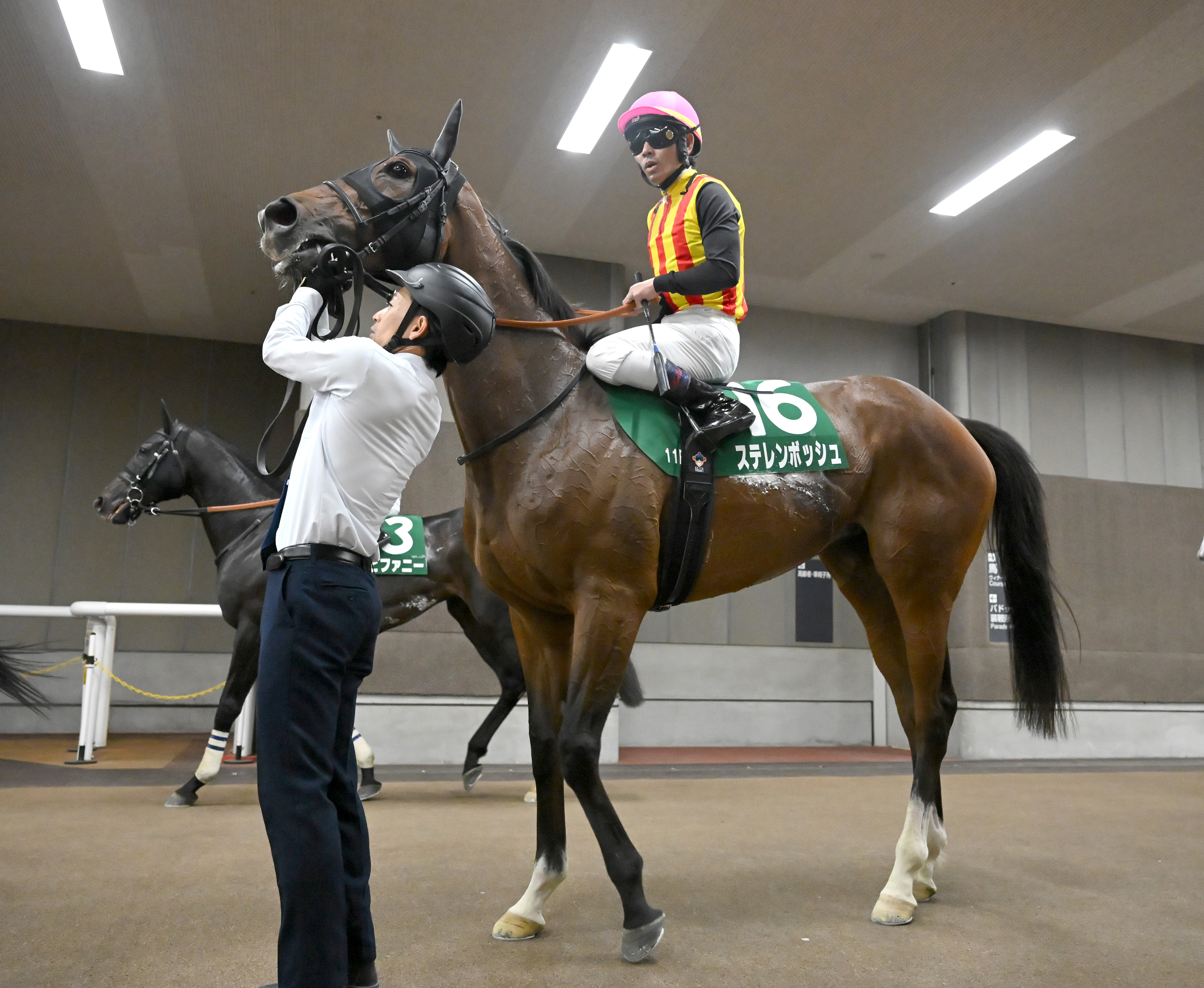 一昨年の桜花賞馬ステレンボッシュが安田記念へ - サンスポZBAT!
