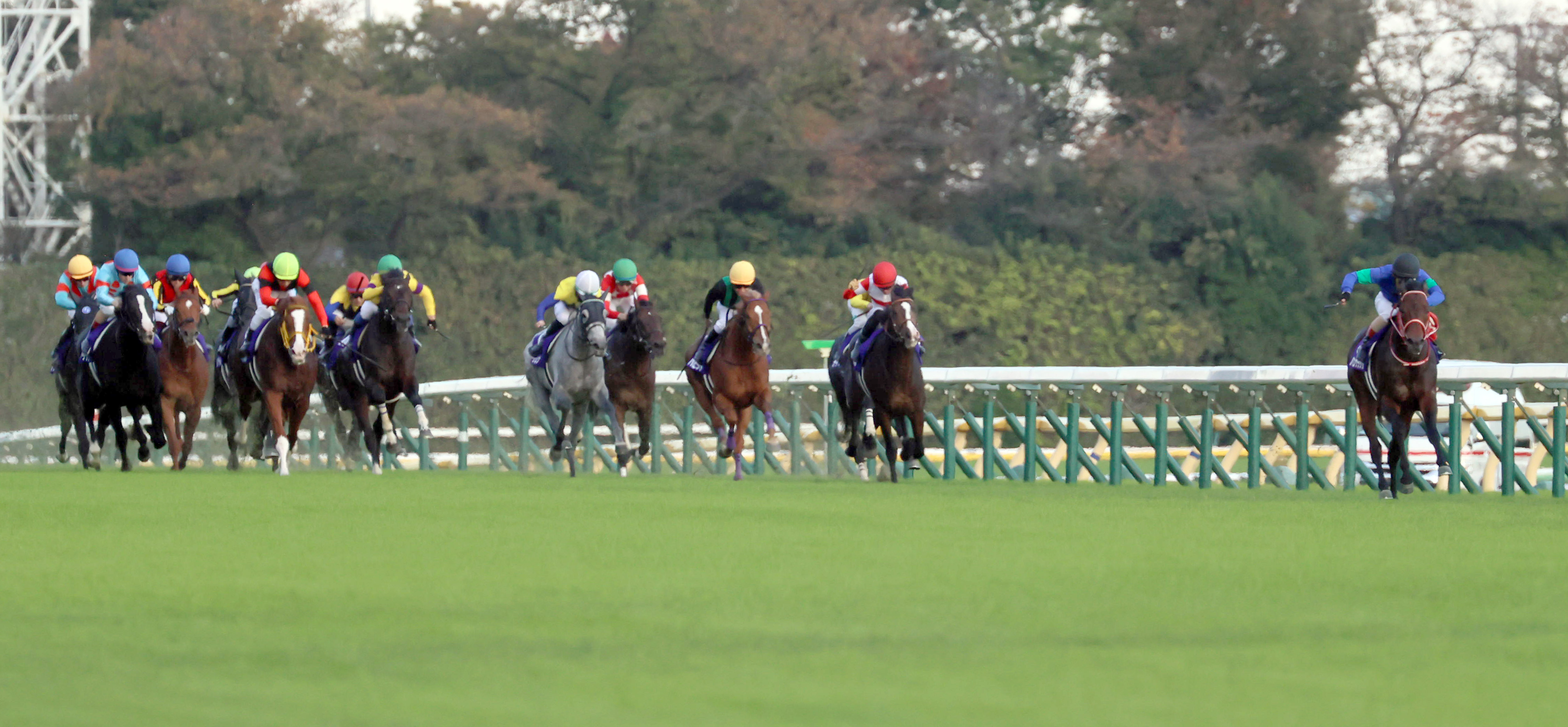 天皇賞 秋 大逃げで沸かせた２着パンサラッサ 次走は香港ｃへ サンスポzbat