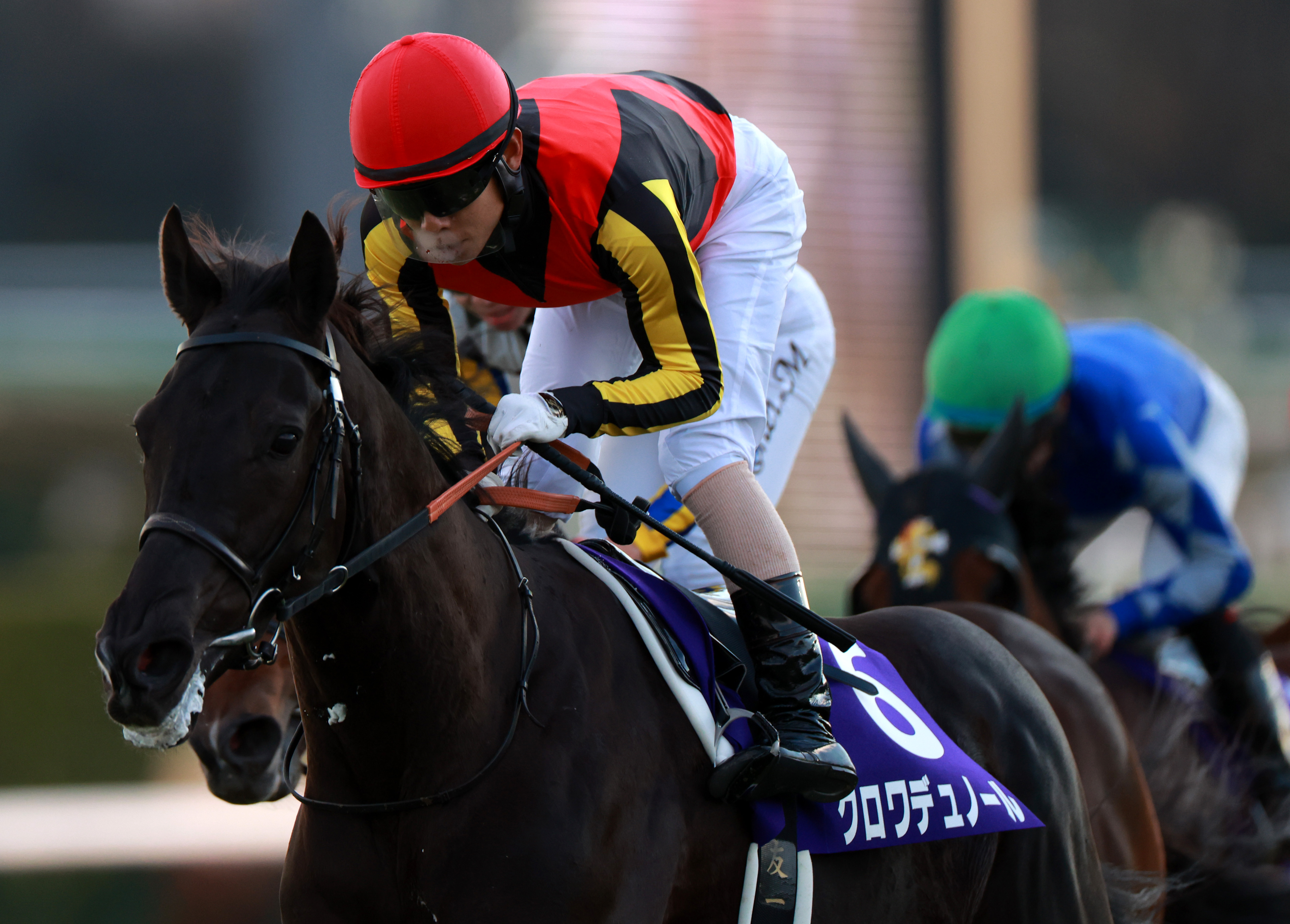 クロワデュノール　メイクデビュー（新馬戦）　現地的中単勝馬券　⭐︎ホープフルS制覇 ホープフルS結果】クロワデュノールが無傷3連勝で2歳中距離王