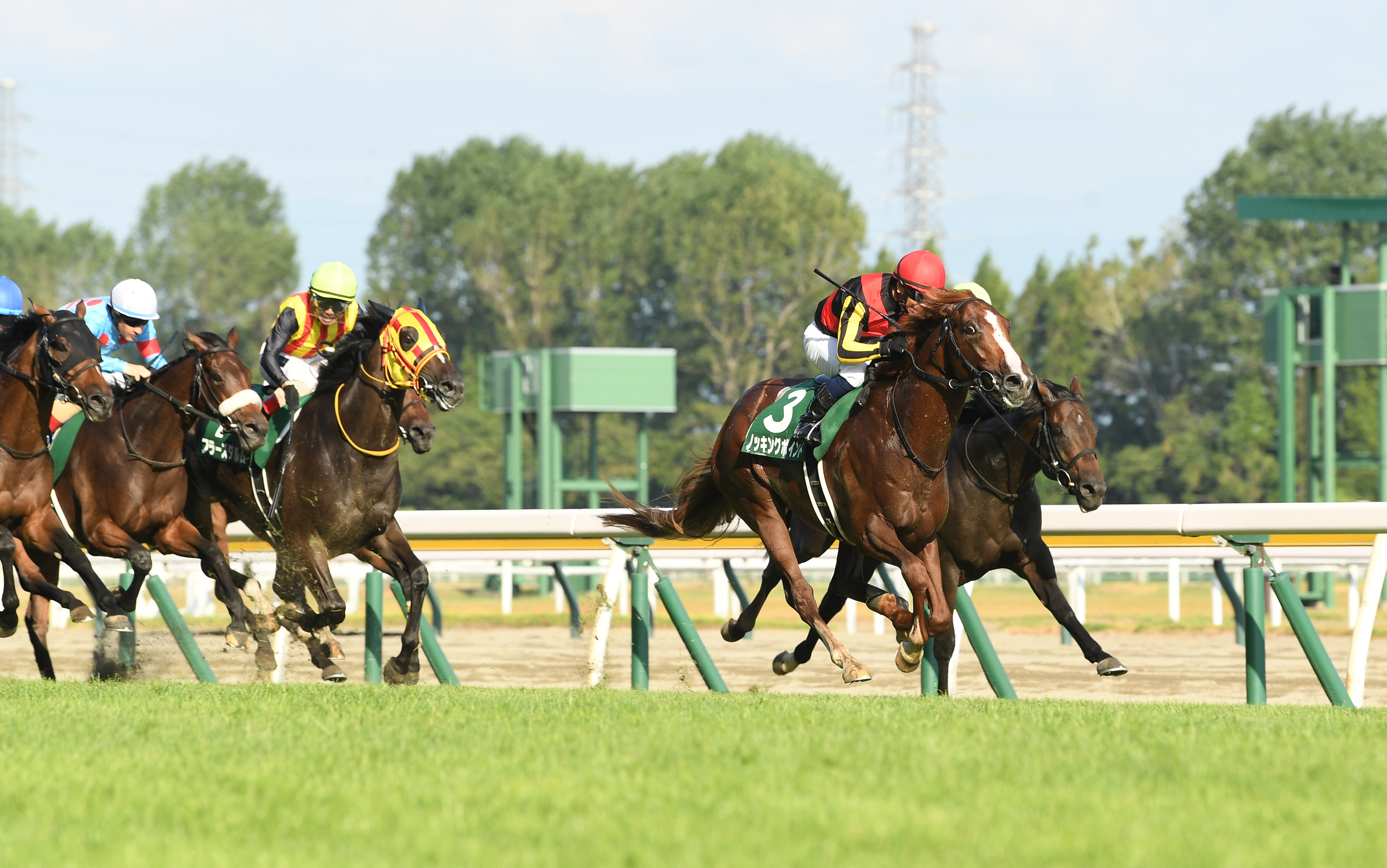 【新潟記念】ノッキングポイント重賞初Ｖ 北村宏司騎手は２週連続 ...