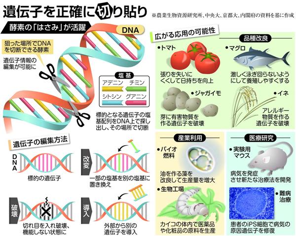 産経ニュース