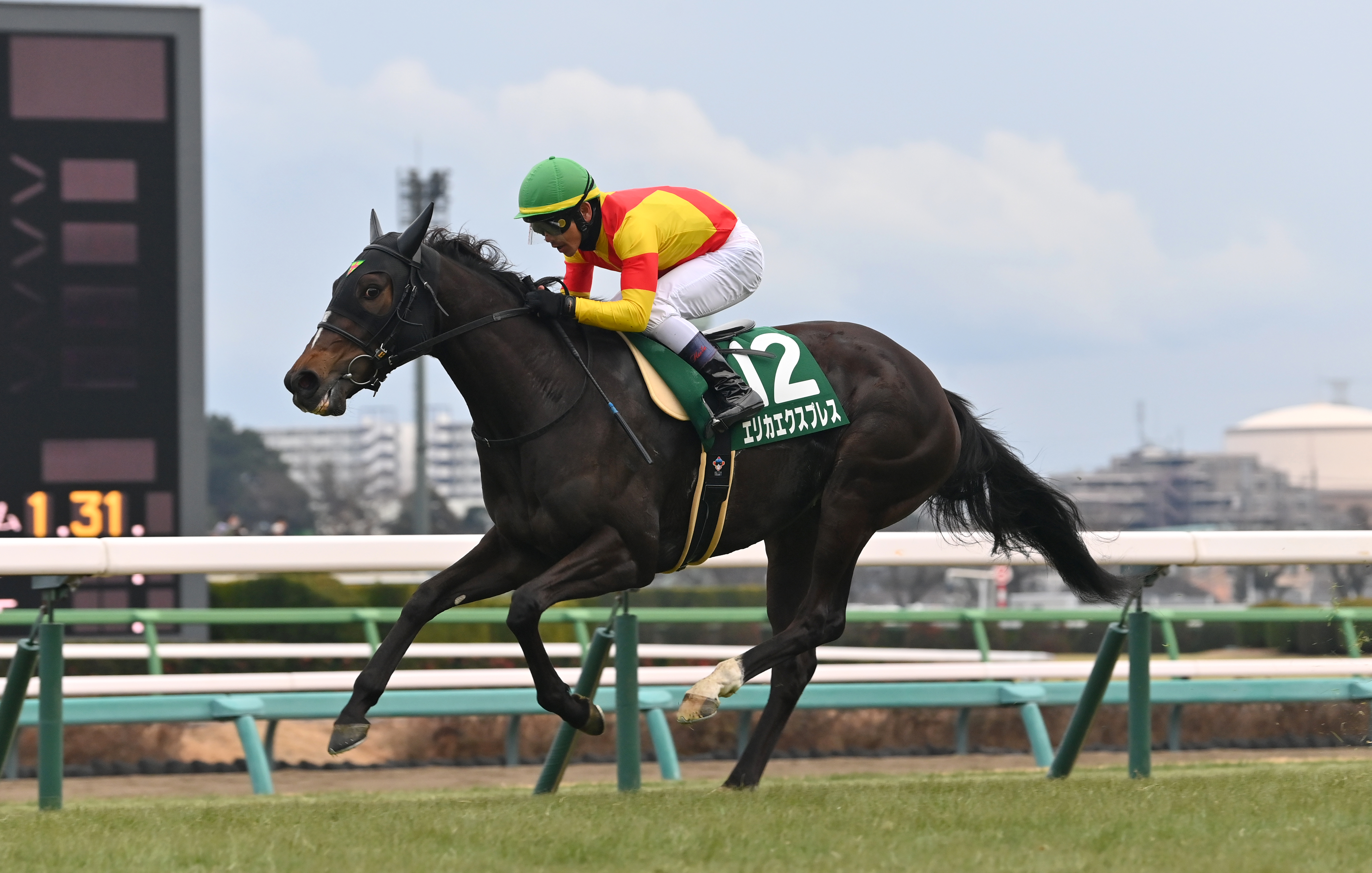 中山競馬・京成杯AH】快速エリカエクスプレスが反撃だ！ 本日の
