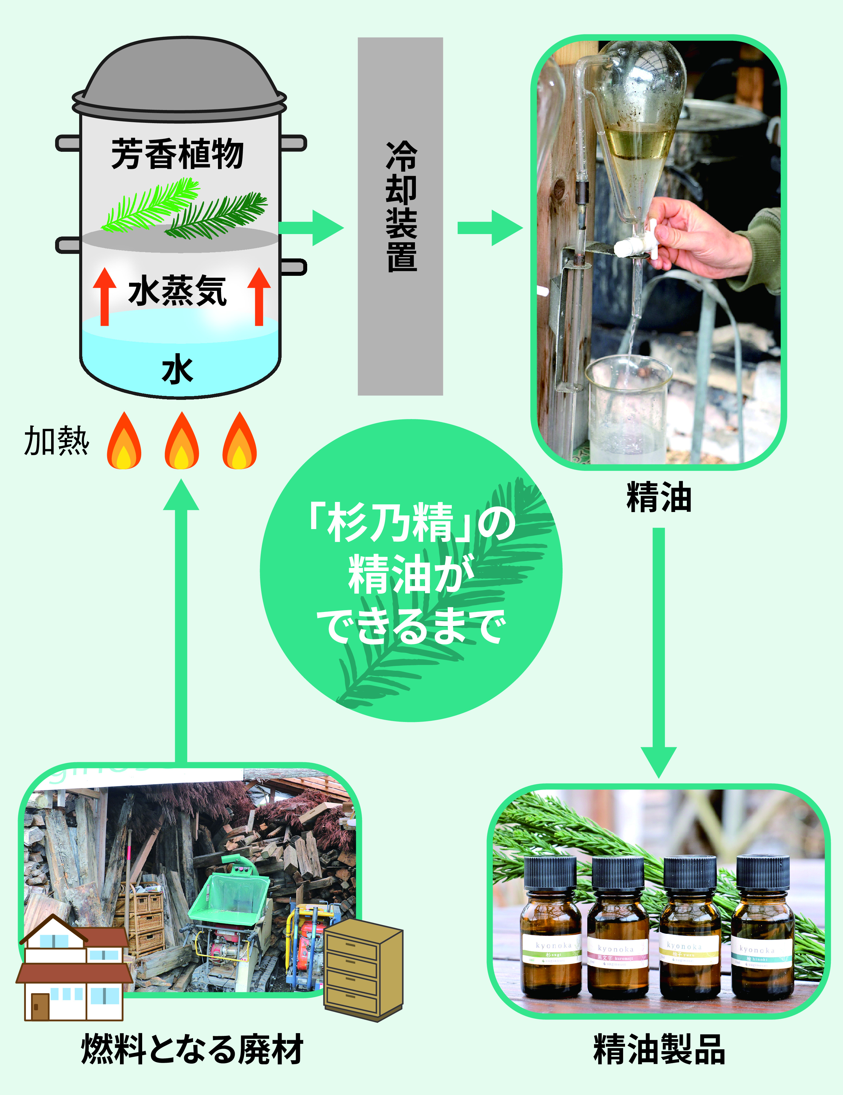 間伐材が癒やしの精油に 「循環型」が作る林業の未来 - 産経ニュース