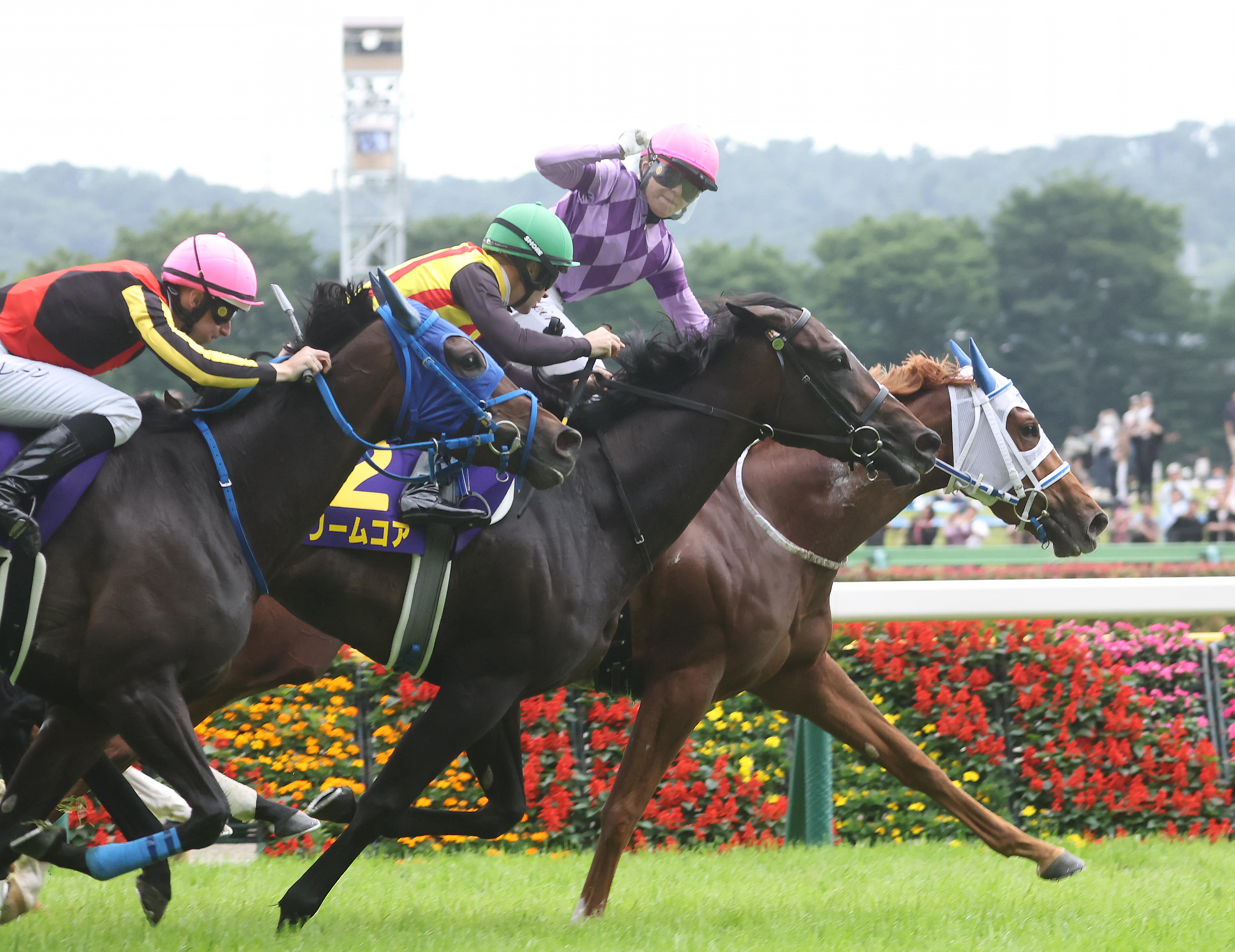 オークス】ジュウリョクピエロが接戦を制し初戴冠！今村聖奈騎手は日本
