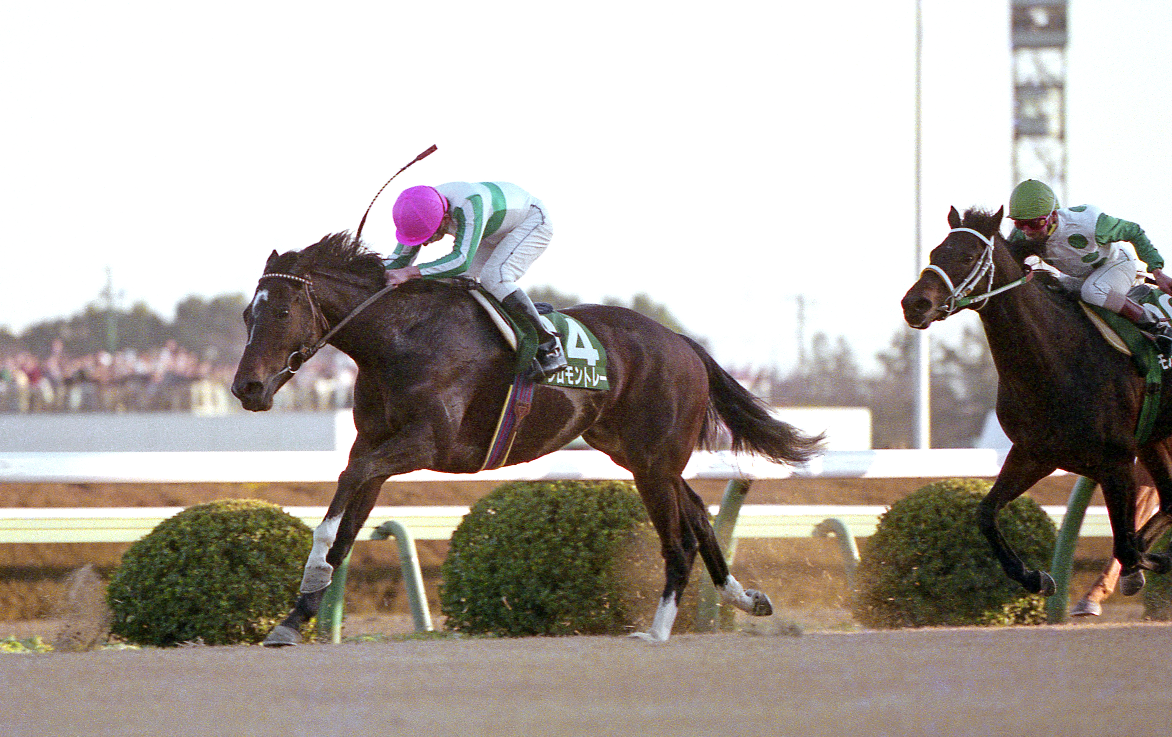 サンスポ紙面と写真で振り返る「午年の金杯 1990年」（メジロ