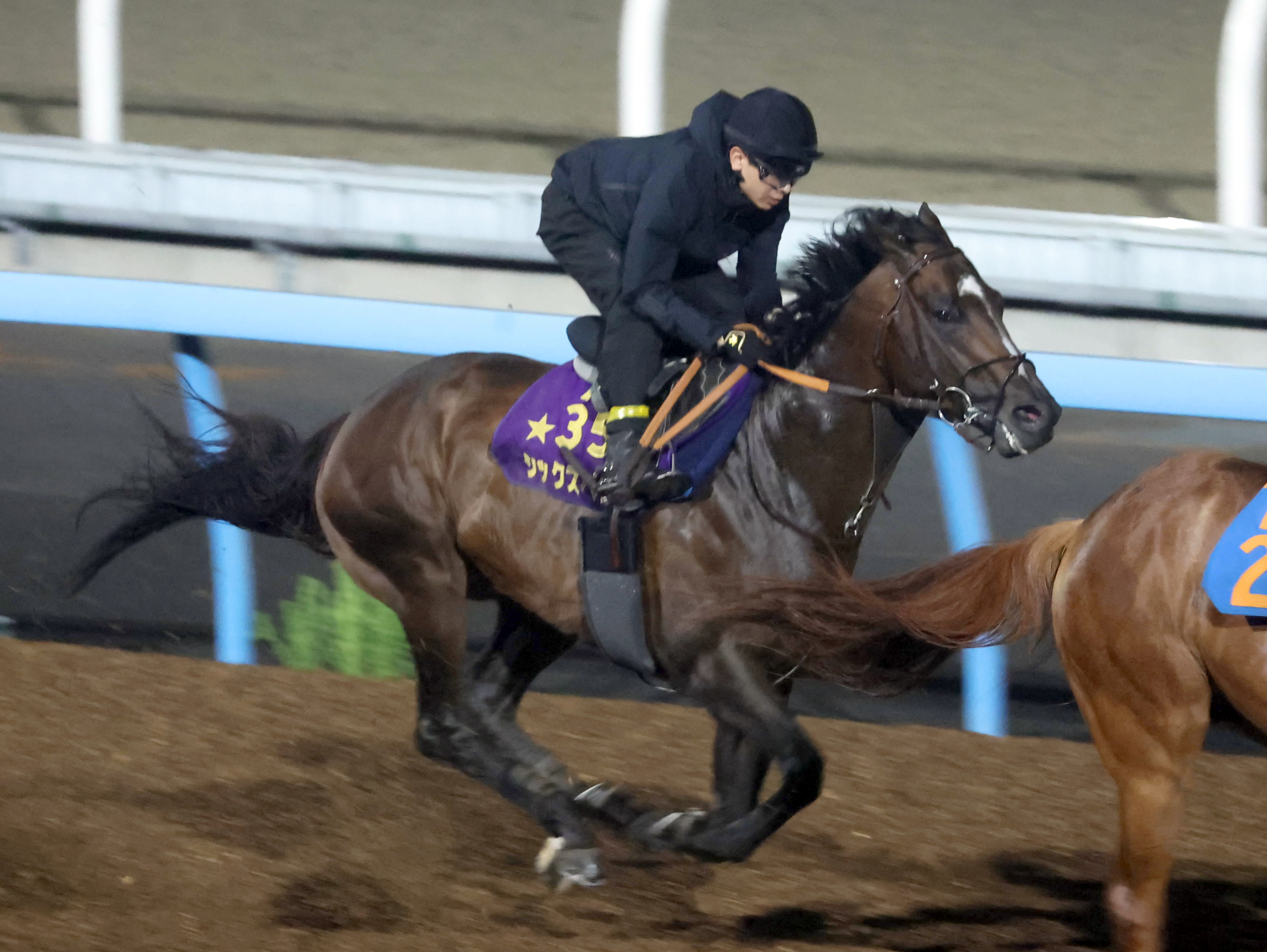 ジャックルマロワ賞 国内最終追い切り】シックスペンスはWコースで機敏