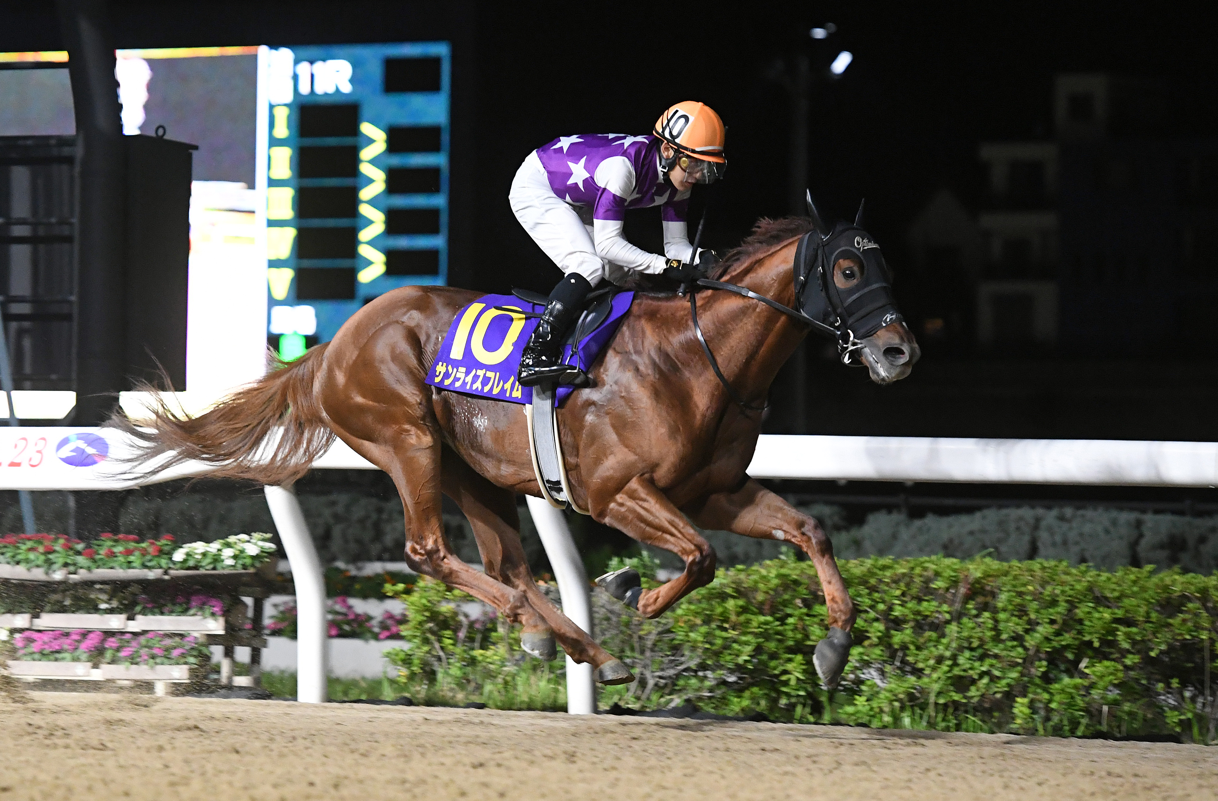 レア　ファンク.レダン　サンモッツの競馬リトグラフA/P 兵庫ゴールドT】陣営の思惑 - サンスポZBAT!