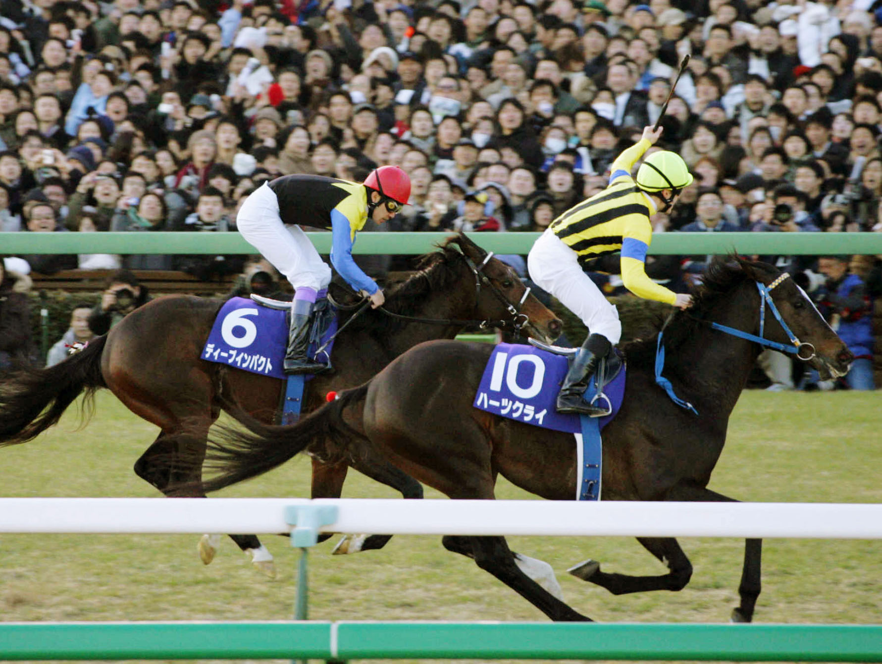 ハーツクライが２２歳で死ぬ ０５年の有馬記念制覇 - 産経ニュース