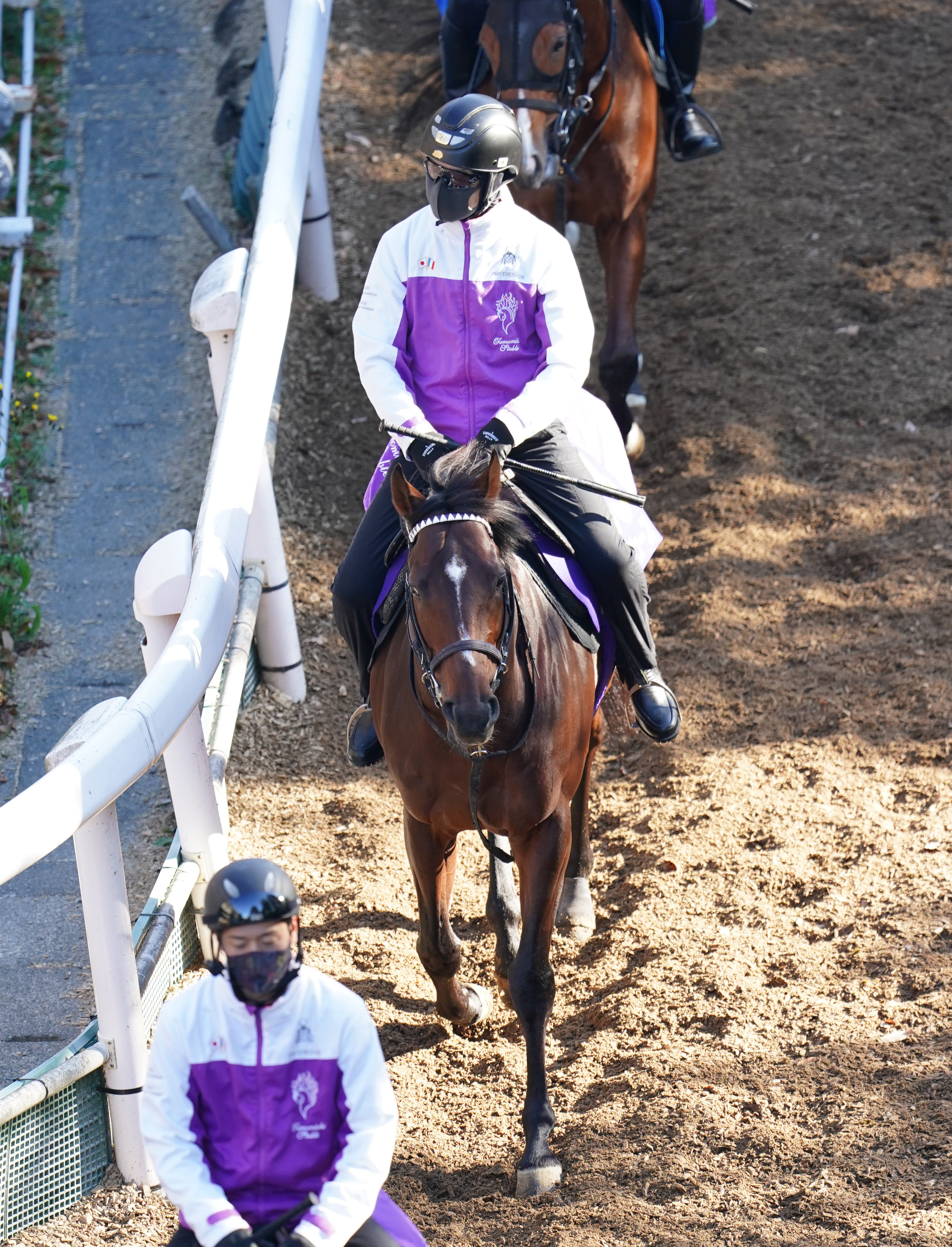 名勝負の真っ最中」…最終局面は？ 有馬記念のドウデュース 井崎脩五郎