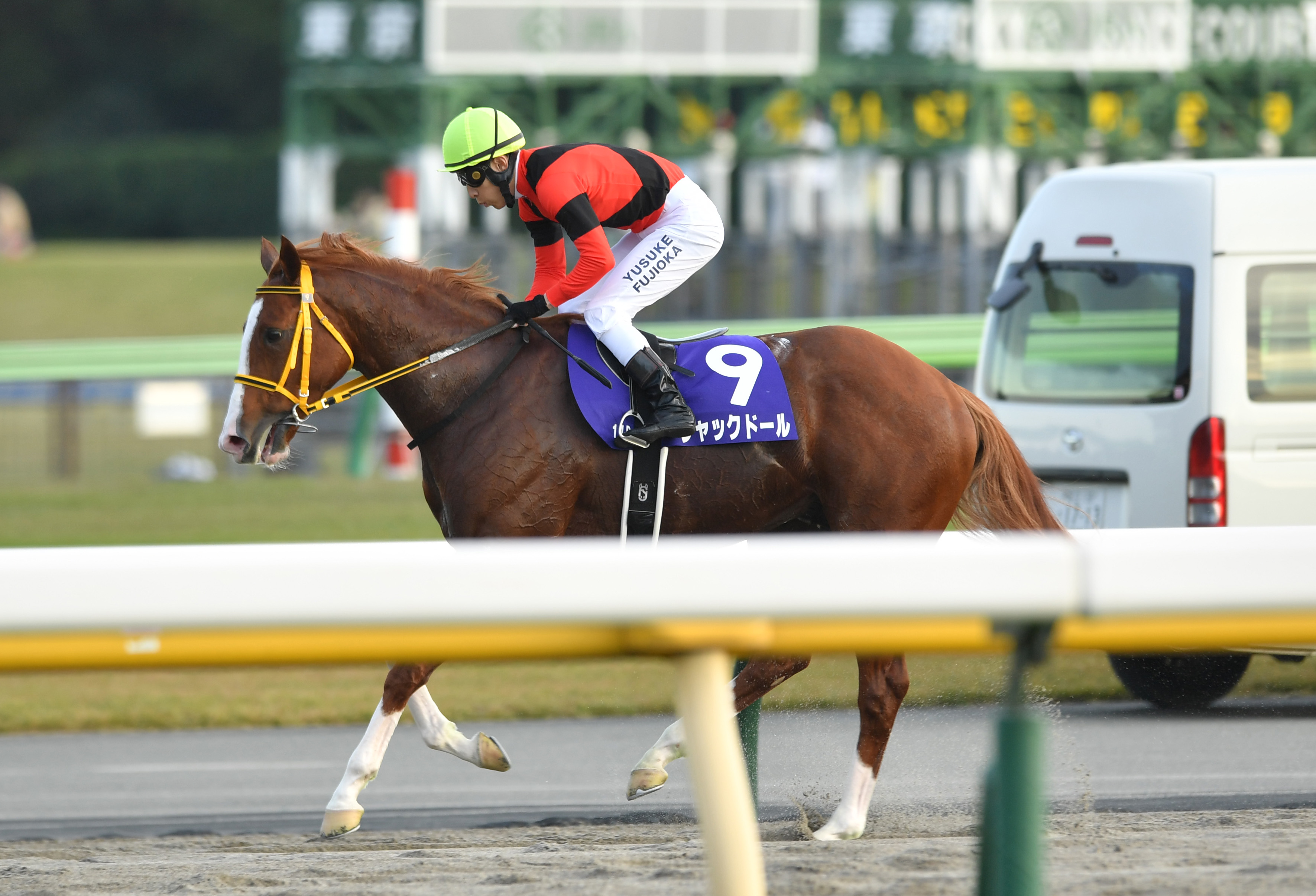 ３歳以上次走報】ジャックドールは予定通り香港Ｃへ - サンスポZBAT!