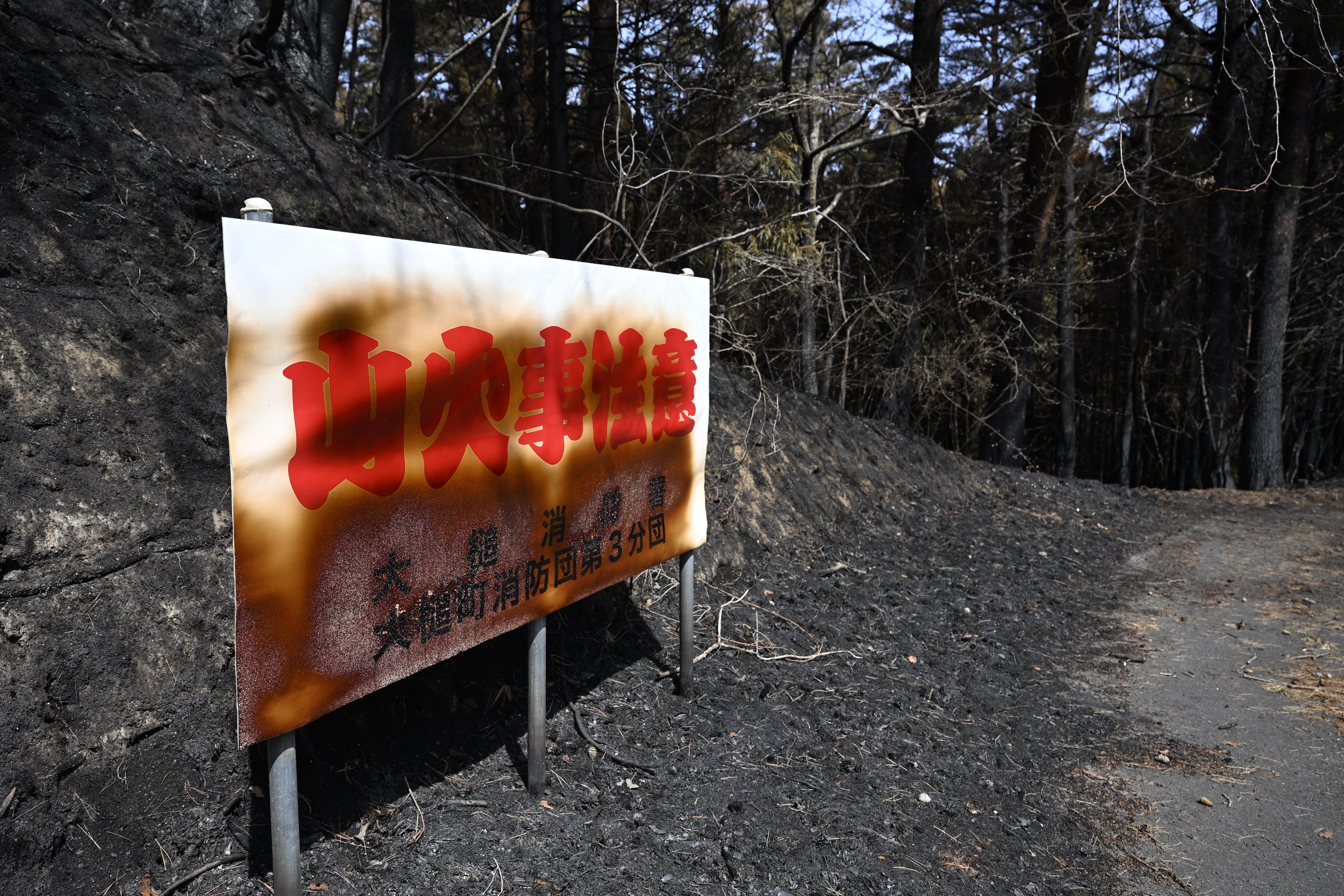 岩手・大槌の山林火災鎮火 1600ヘクタール超焼損 政府「局地激甚災害