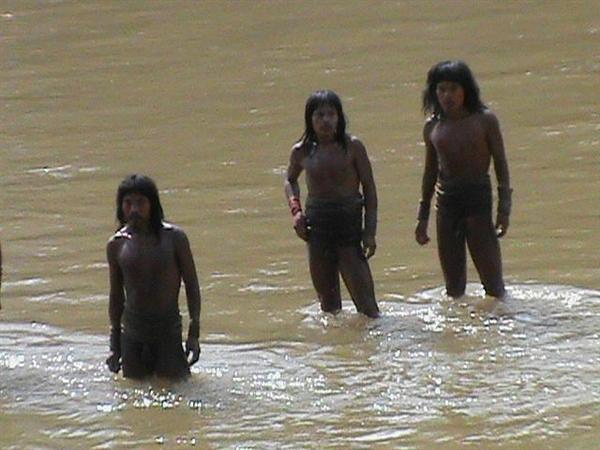 通販 アマゾンの先住民族 ＴＶチェック】アマゾンで暮らす謎の先住民族