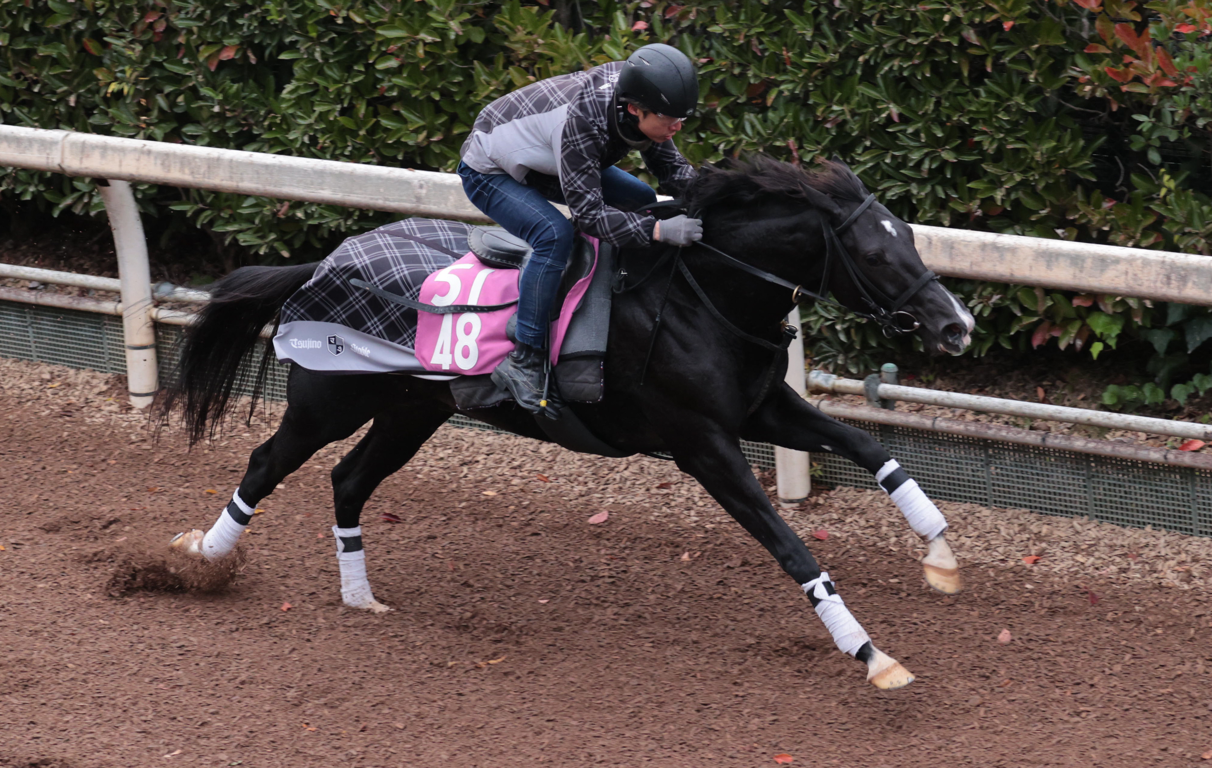 今日の注目新馬】ゲフィオン前向きな気性 祖母は天皇賞・秋制覇のエア