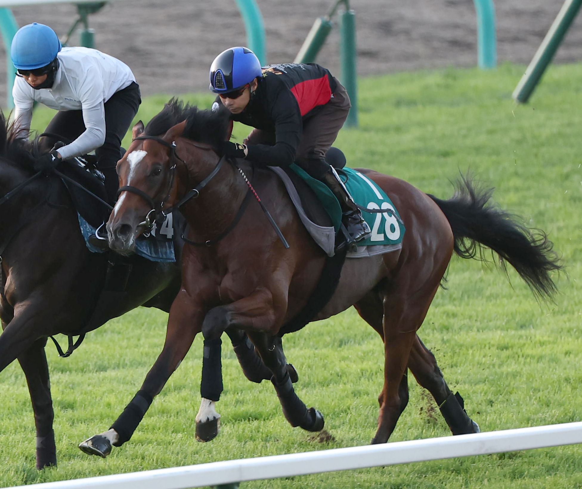 馬券単勝 ポルトフィーノ 新馬戦 競馬】新馬はこれを買えばボロ儲け！！新馬の必勝法教えます