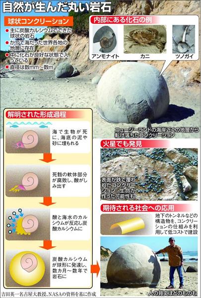 クローズアップ科学】不思議な球状岩石の謎解明 作ったのは海の生物 建設に応用も （1/3ページ） - 産経ニュース