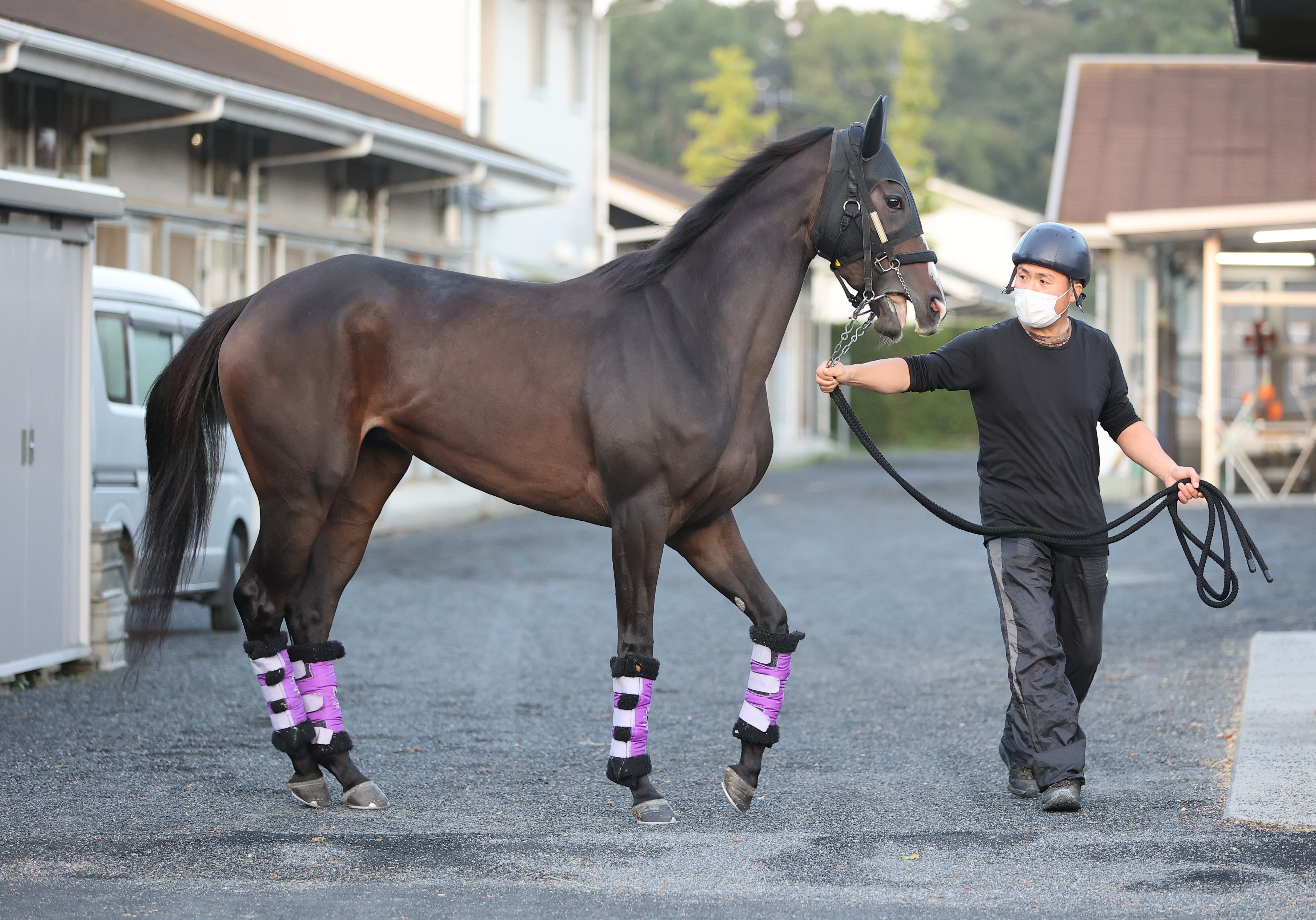 【秋華賞】オークス２着馬ハーパーは栗東ＣＷコースで最終調整 ...