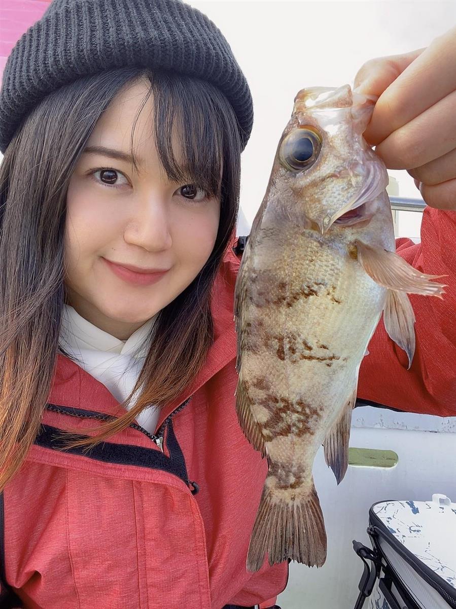 釣りたい写りたい くりっとかわいい春告魚 メバル サンスポ