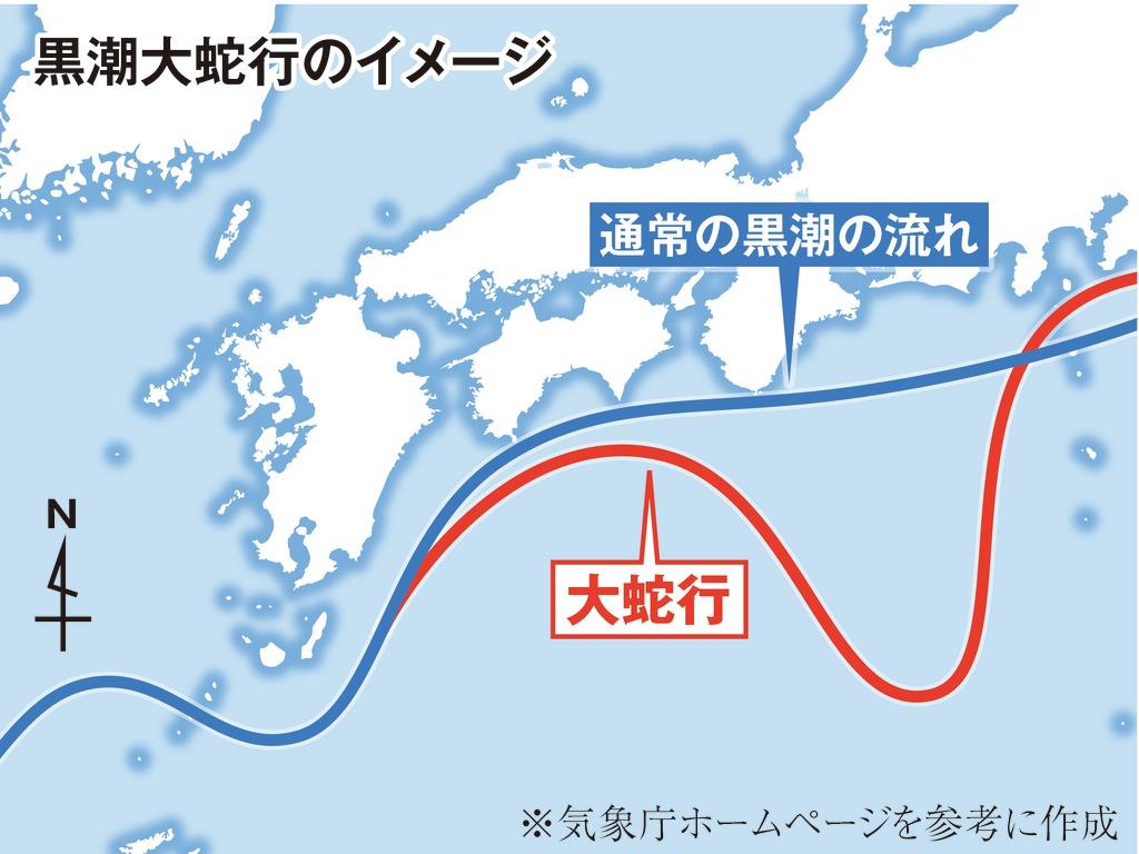 初 でも 戻り でもない和歌山 もちガツオ に異変 1 3ページ 産経ニュース