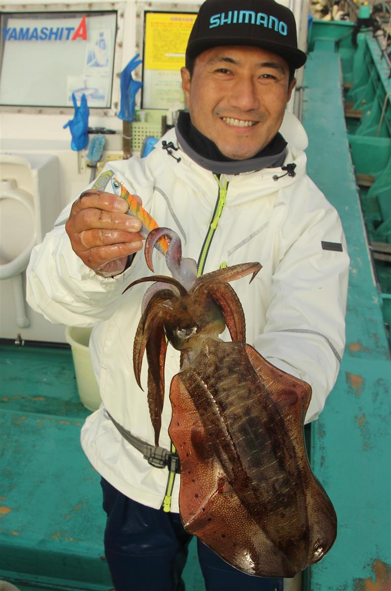 イカの王様アオリイカ ティップラン釣法で正月用に確保しよう 相模湾 佐島沖 サンスポ