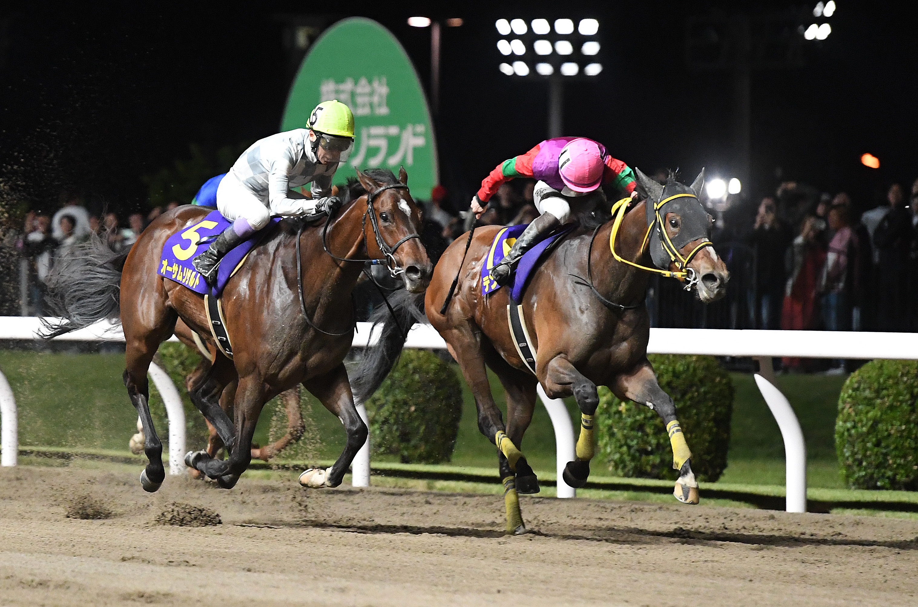 とべ!\"おちこぼれ馬\"ミルキーウェイ : 五輪へ出場した沢井選手と馬の物語 桜至郎の競馬こばなし 縦〝桜〟無尽】セレクトセール開催中