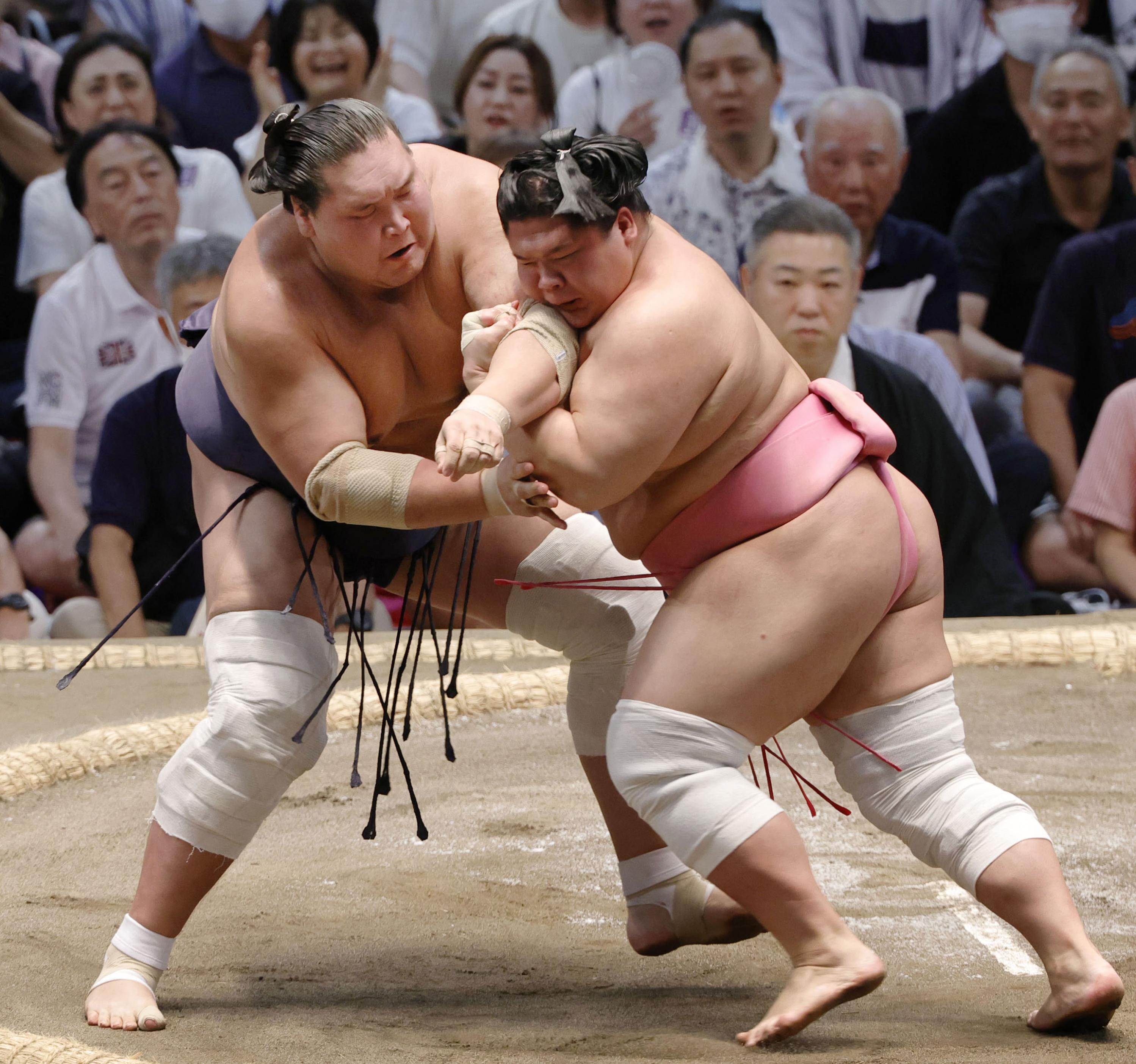 稀少！相撲 一人横綱千代の富士 大関大乃国 関脇小錦 小結旭富士 益荒 