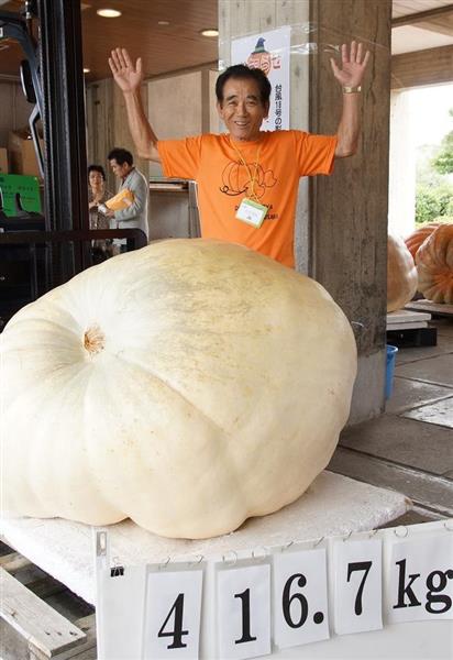 小豆島 アート 安い カボチャ