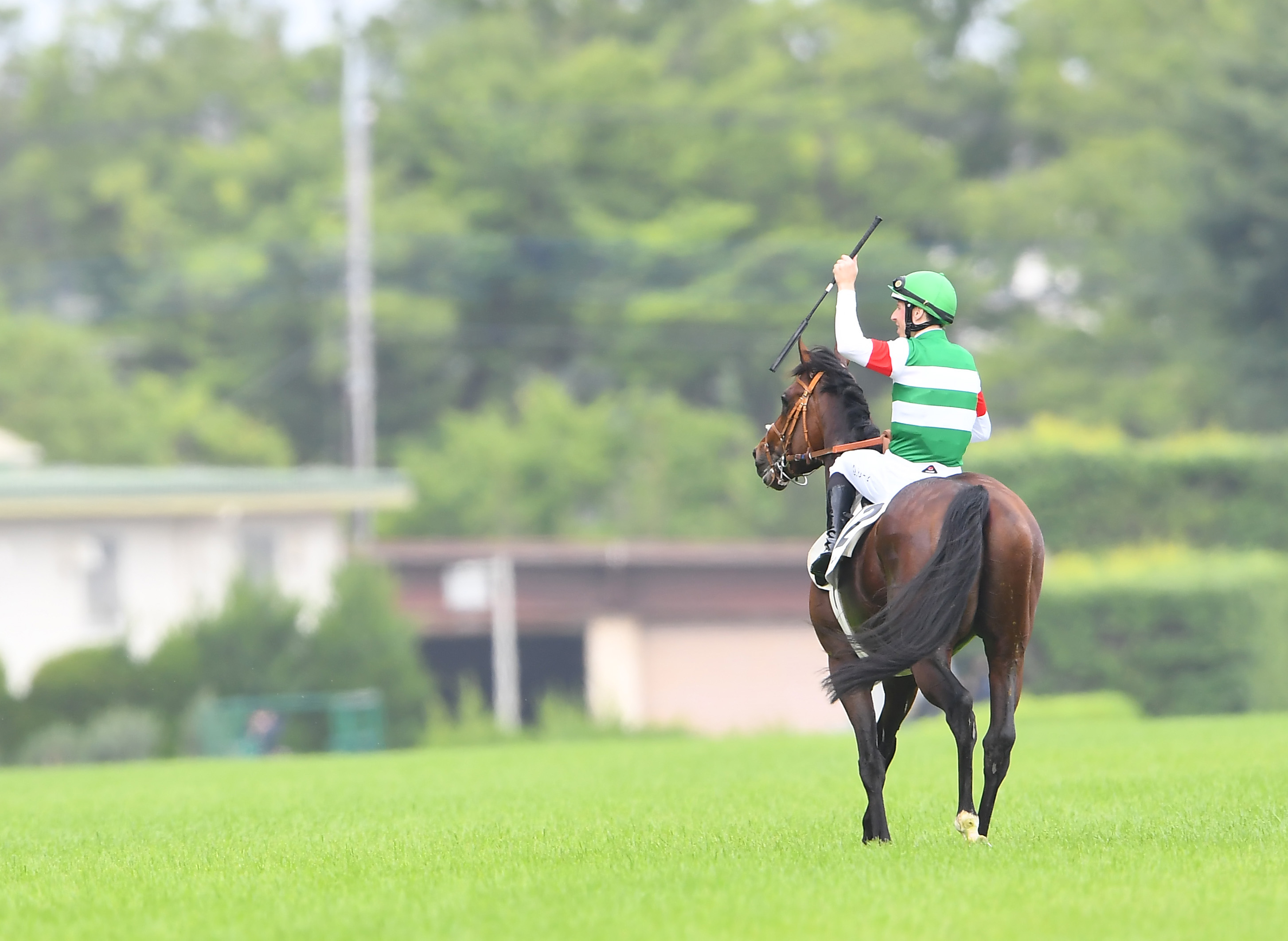 第90回日本ダービー 全頭応援馬券 タスティエーラ 【公式通販】