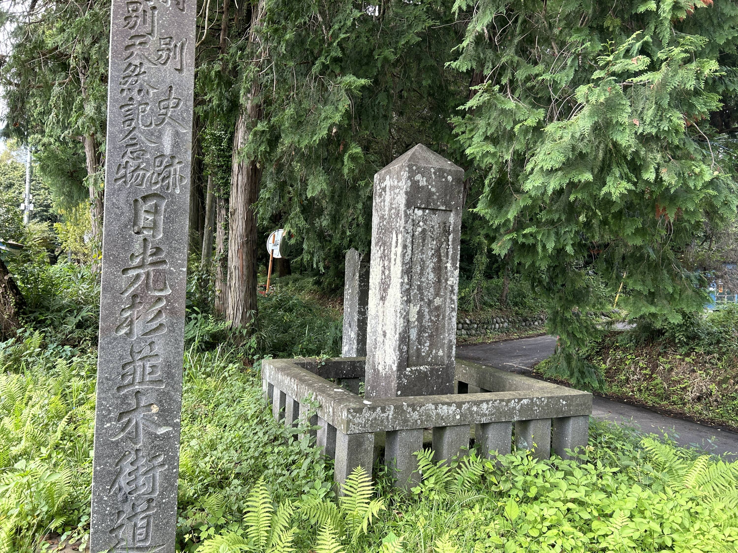 植樹400年 歴史語る緑の回廊 「日本一長い」 栃木・日光杉並木街道 味