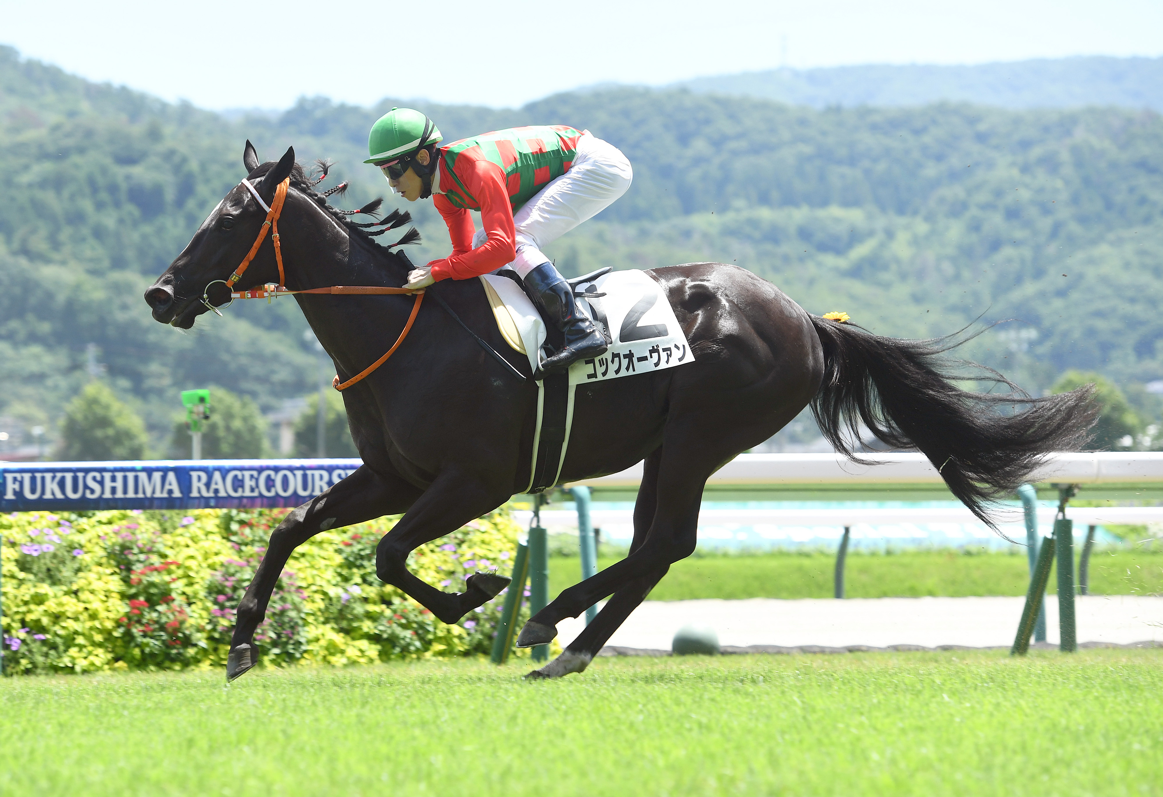 2歳新馬・福島4R】コックオーヴァンが鋭く伸びてデビュー勝ち