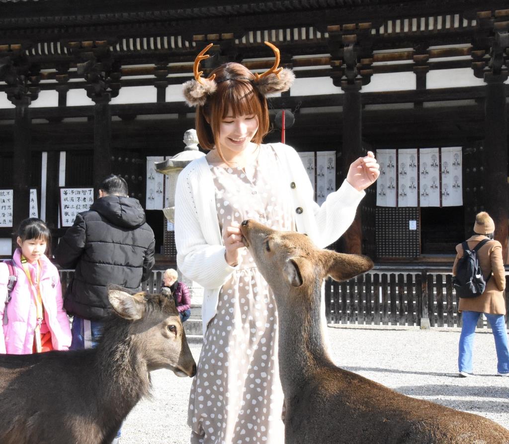 奈良で大人気「鹿のカチューシャ」 仕掛け人は元グラドル（1/2ページ