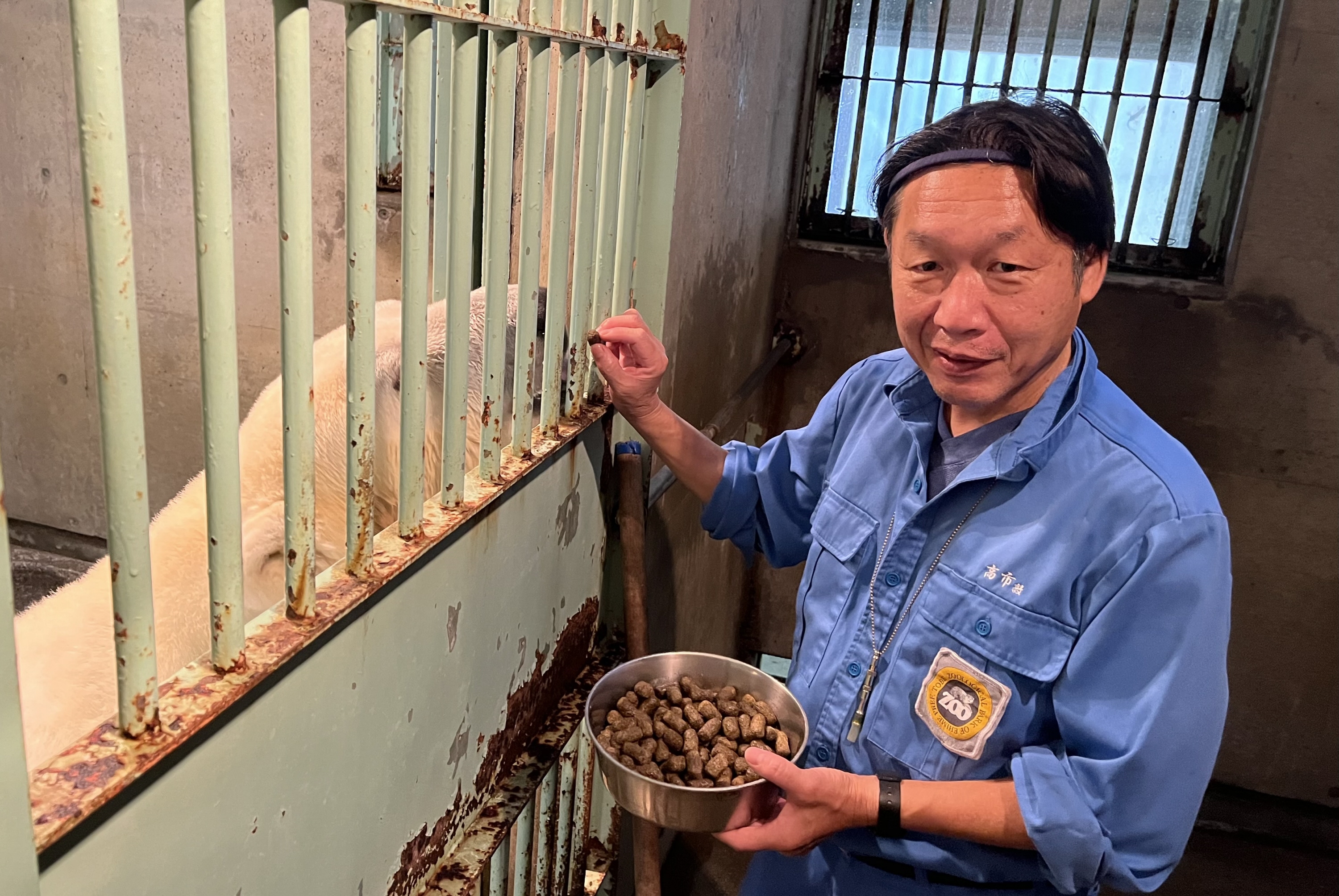 きょうだいの死、病乗り越えたシロクマ「ピース」 飼育員が語る