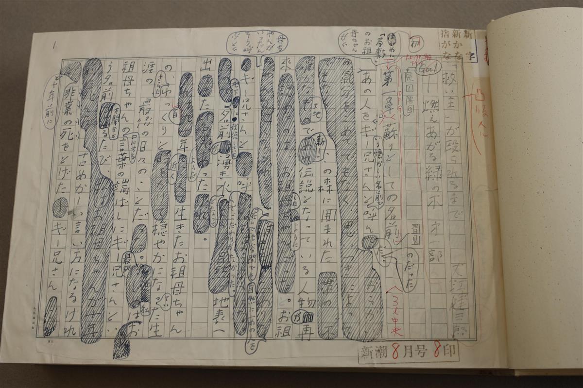 望月三起也 直筆カラー原稿（原画）「 戦国忍法帖 」まんだらけ保証書