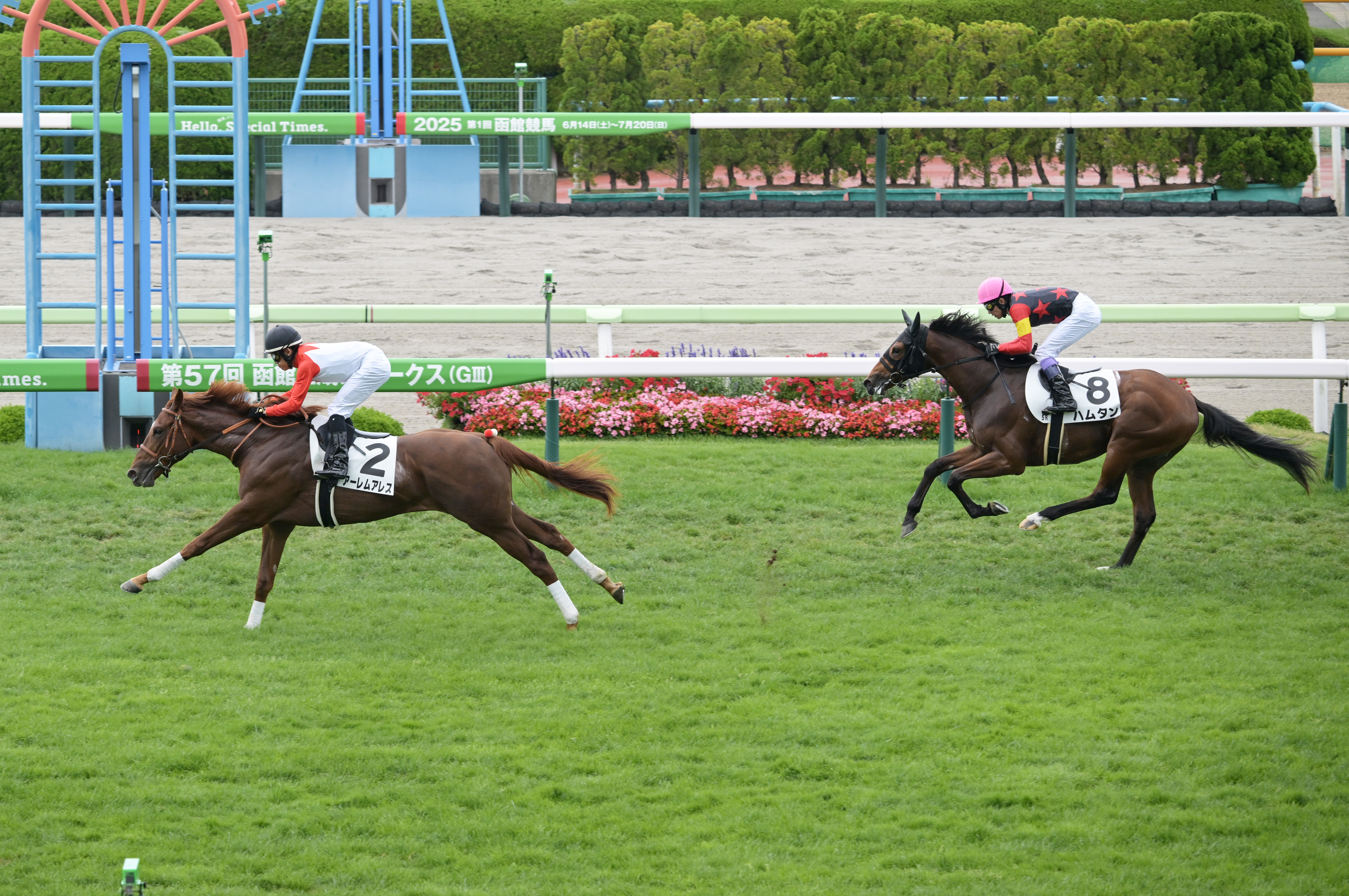 2歳新馬・函館5R】GⅠ2着3回カレンブーケドールの初子、ハムタン