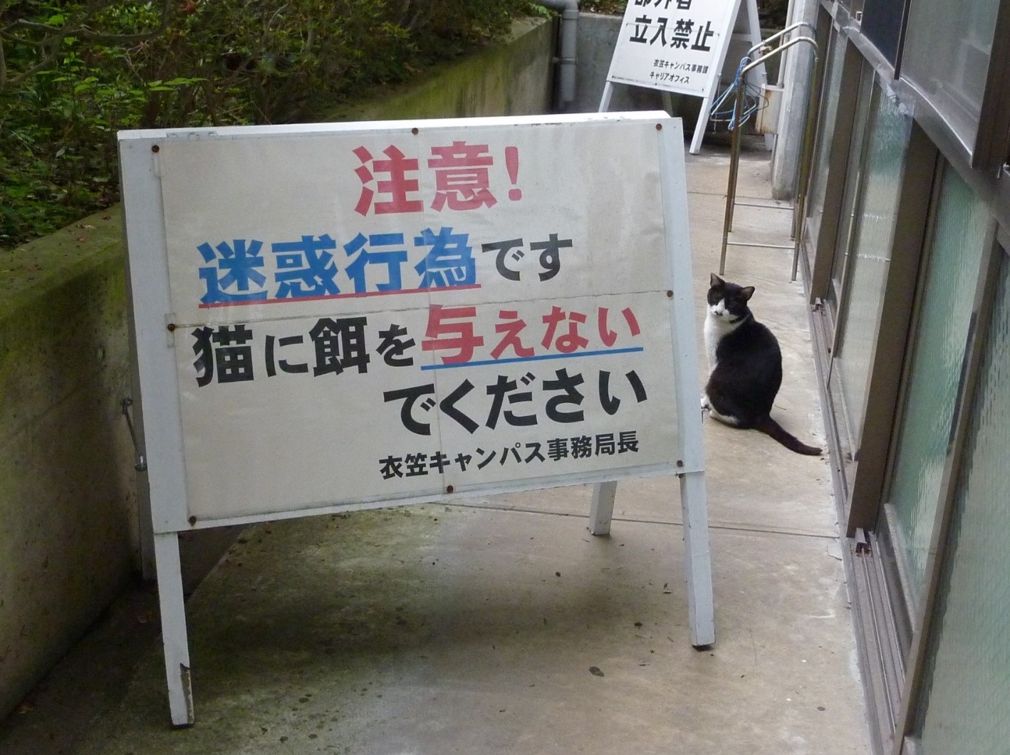 否定や排除が招く悪循環 地域の餌やり問題はヒトとネコの「秘密の