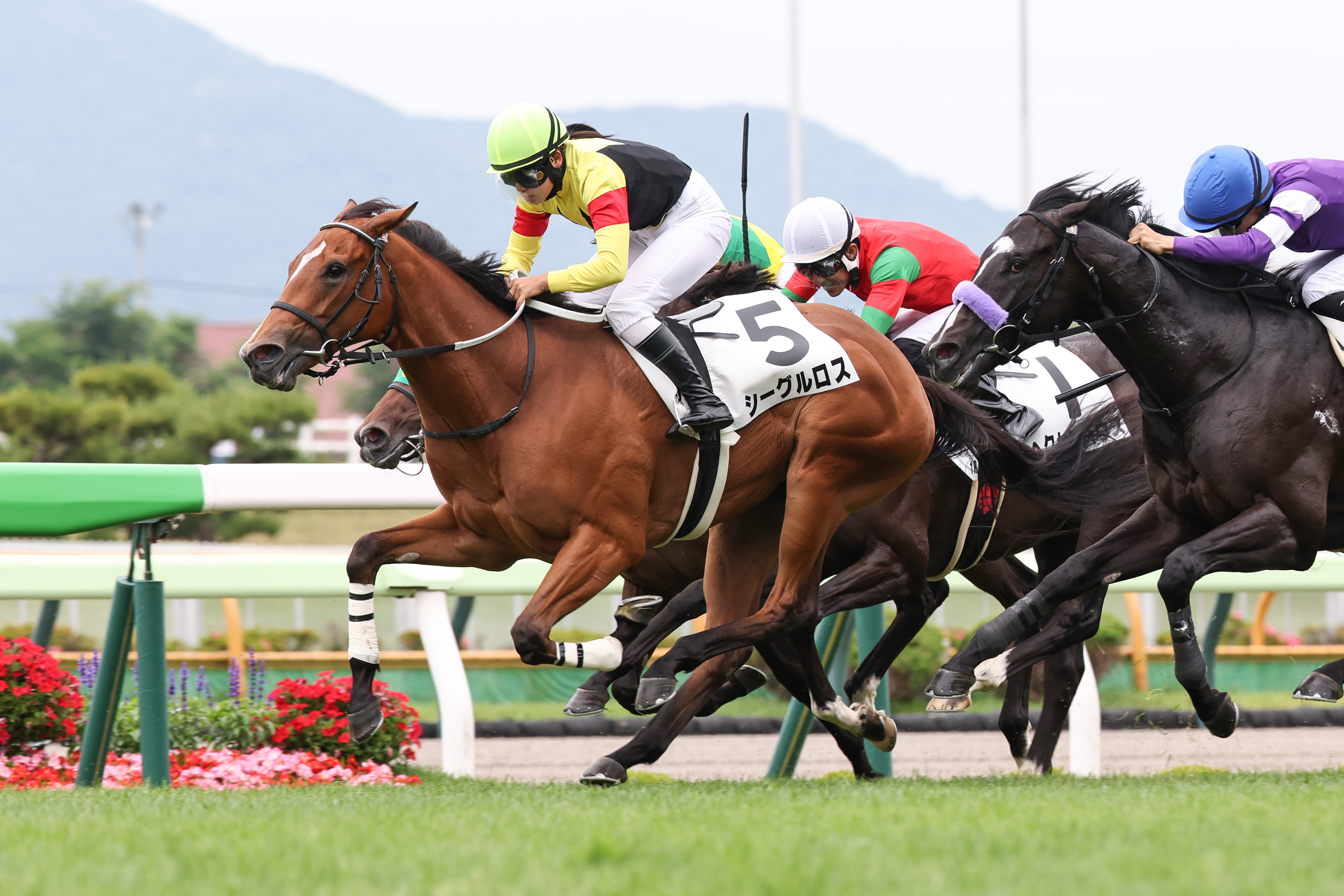 ルメール騎手が10年ぶり参戦の福島競馬でV「やっと勝てた