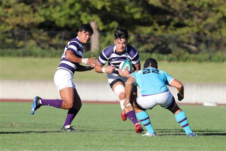 秋田工魂胸に 明大 児玉 前へ 突き進む 東北スポーツ サンスポ