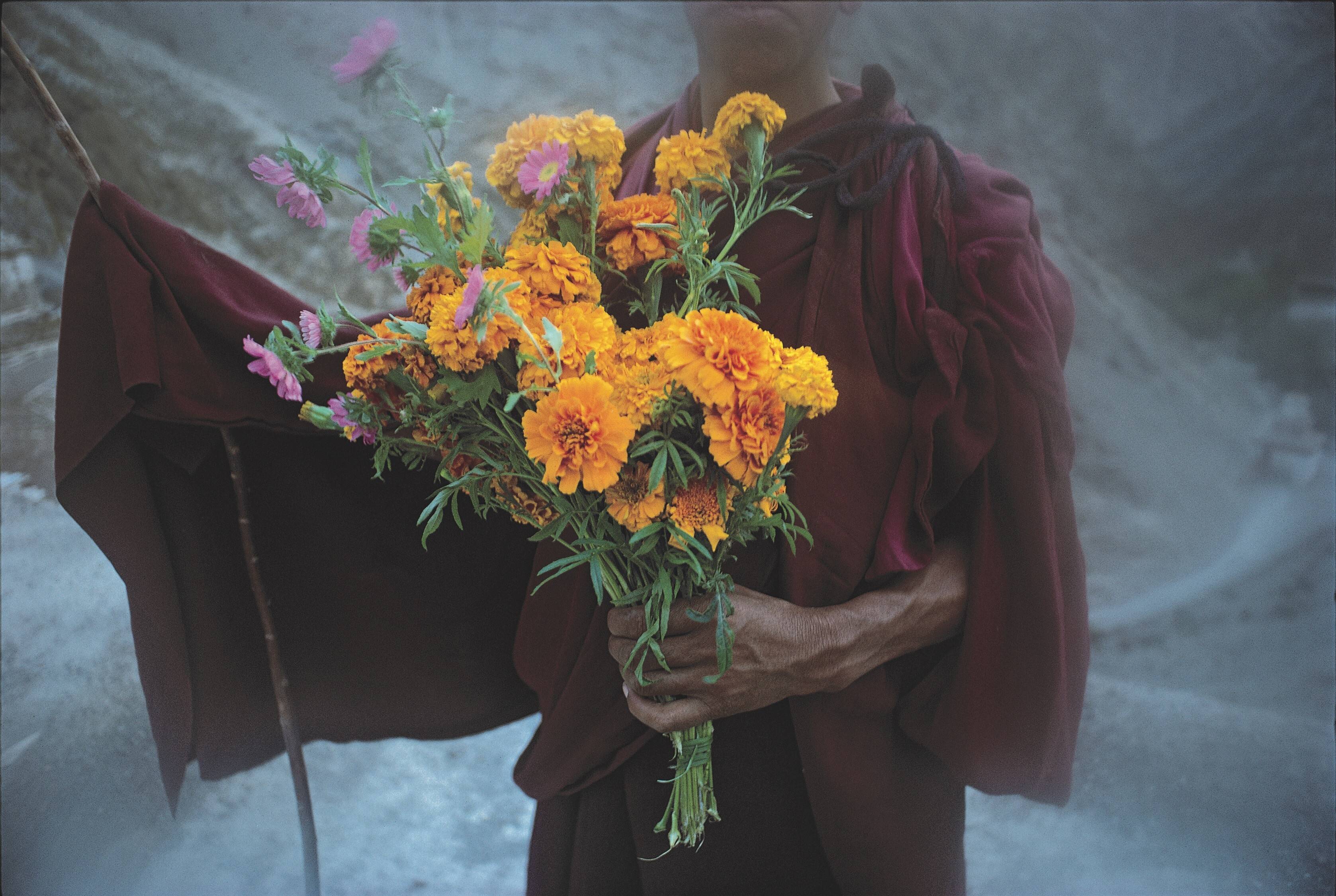 この世に〝接触〟し続けた50年 26日から「祈り・藤原新也」展